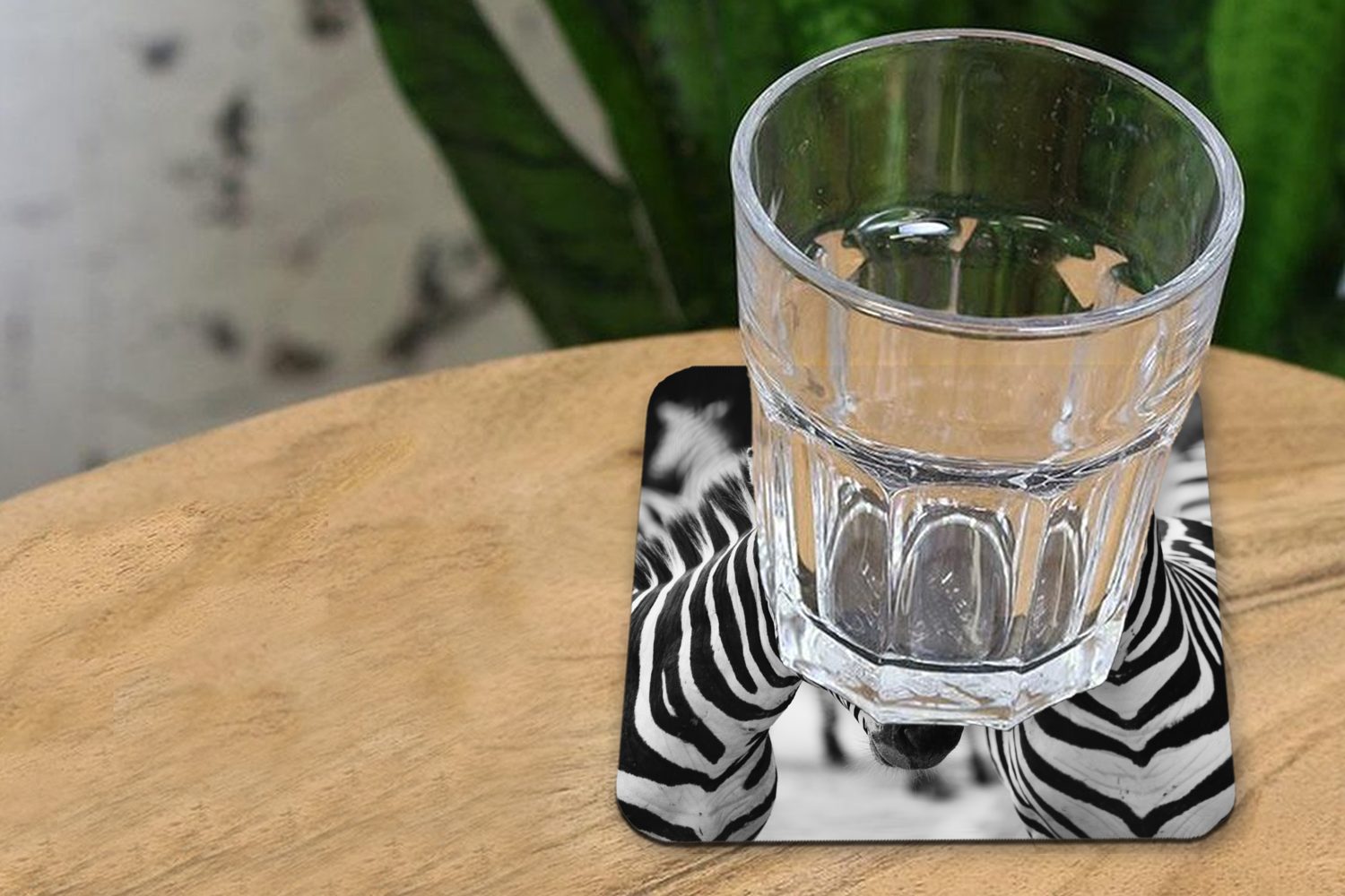 MuchoWow Glasuntersetzer Zebra schwarz und weiß, Korkuntersetzer, Tasse für Glasuntersetzer, 6-tlg., Zubehör Untersetzer, Gläser, Tischuntersetzer