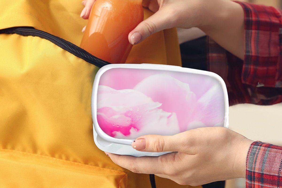 MuchoWow Lunchbox Nahaufnahme der Blütenblätter Kunststoff, Kinder Brotdose, Erwachsene, Brotbox für rosa Jungs (2-tlg), Pfingstrose, und für und weiß der Mädchen