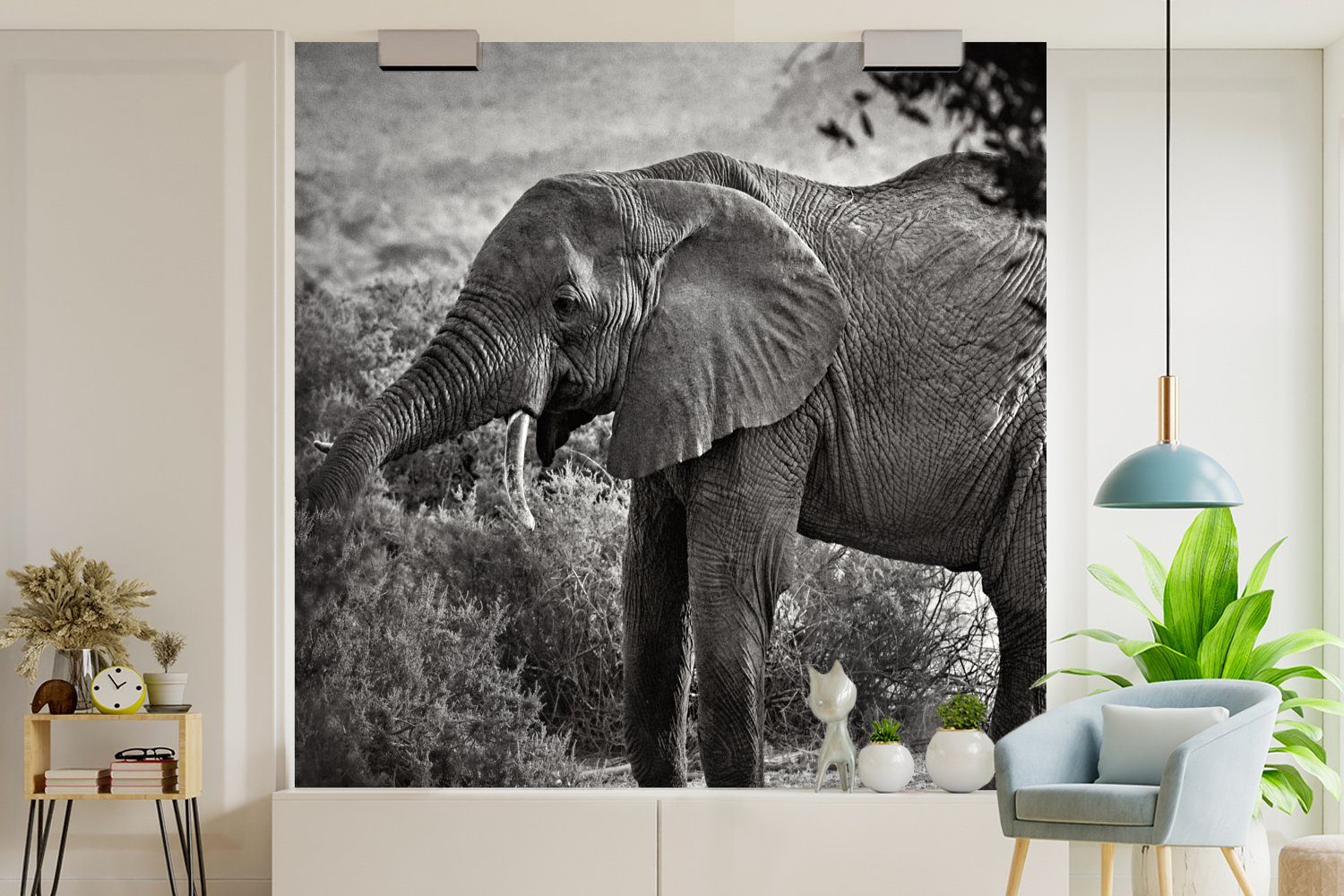 Fototapete Bäume Elefant Vliestapete Wohnzimmer MuchoWow Matt, St), - Küche, Fototapete Tiere (4 Weiß, bedruckt, - für Schwarz Schlafzimmer - -