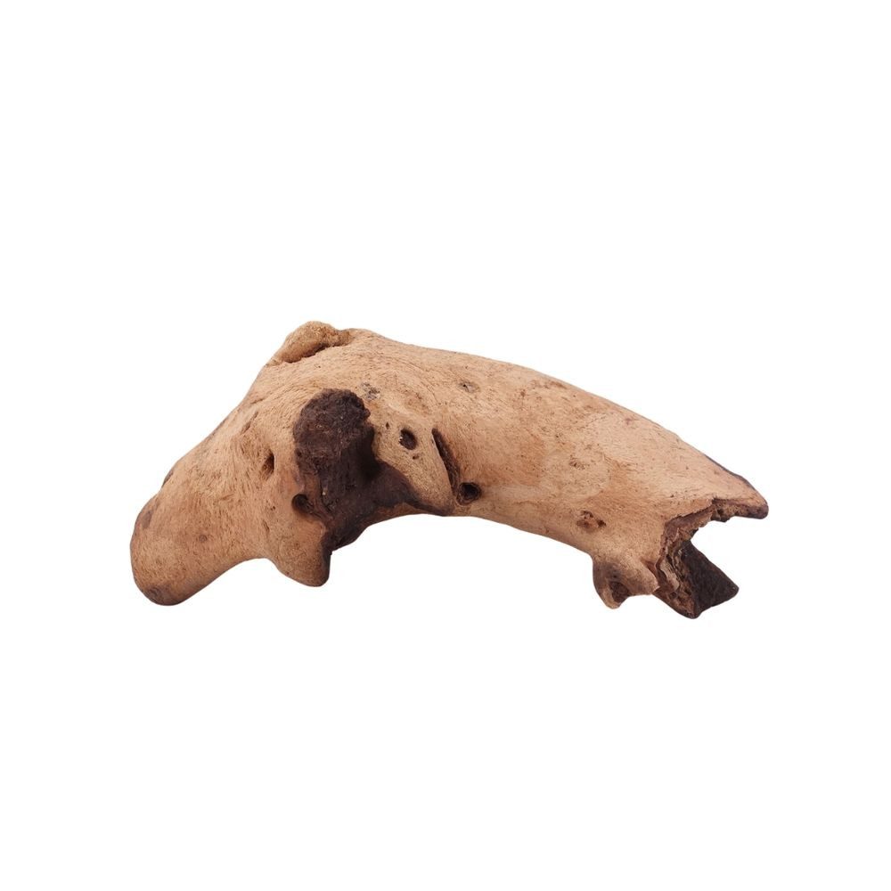 Aquaone Aquarium L Mopani Wurzel Nr.2839 Holz Deko Aquascaping