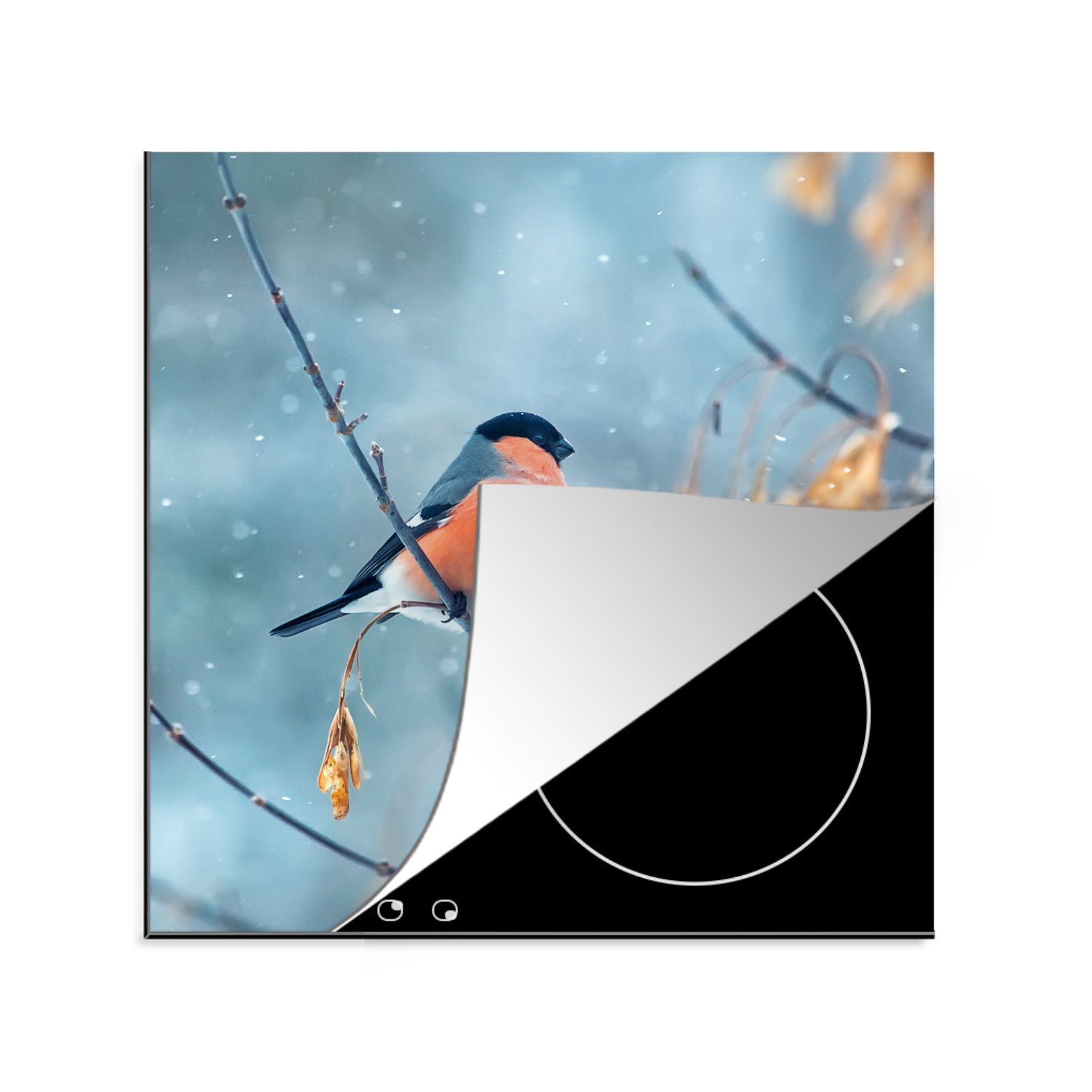 MuchoWow Herdblende-/Abdeckplatte Schnee - Induktionsschutz - Vogel - Induktionskochfeld, Vinyl, (1 tlg), 78x78 cm, Ceranfeldabdeckung, Arbeitsplatte für küche
