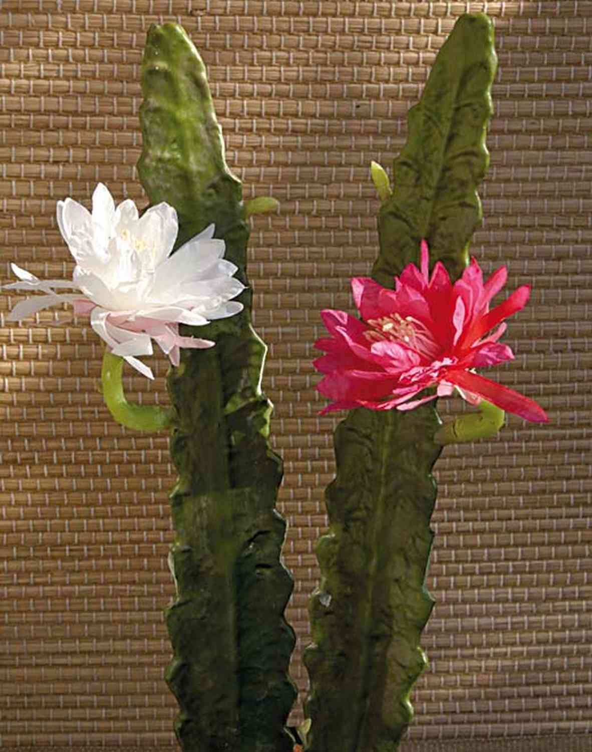 Kunstkaktus Kunst Kaktus Königin der Nacht Domenica, Blüte, weiß, 50cm Königin der Nacht Kaktus, artplants, Höhe 50.0 cm