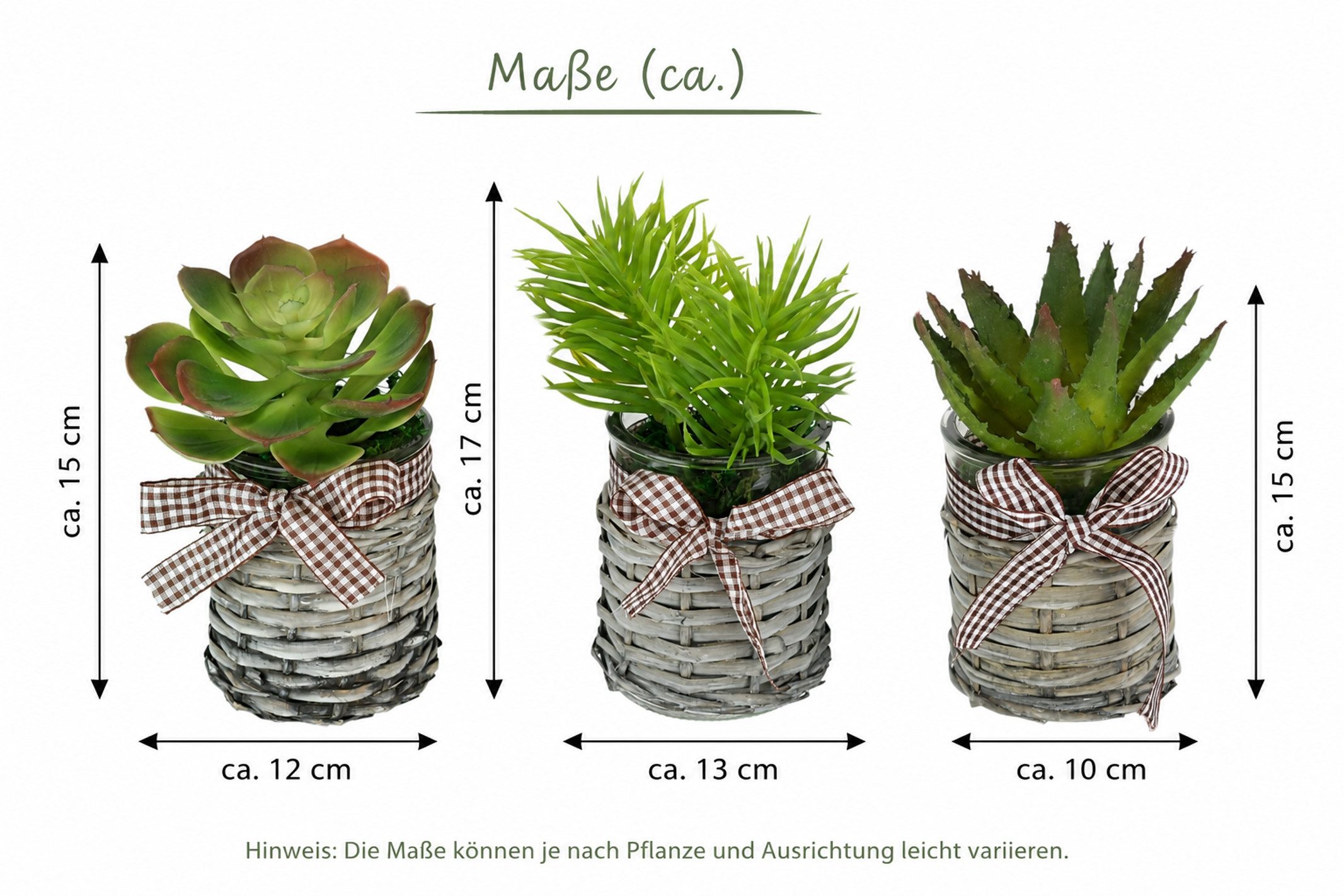 Kunstblume Künstliche Sukkulenten im Topf 3er Set 15cm Agave Aloe Vera Pflanze Kaktus, I.GE.A., Höhe 15 cm, Kunstkaktus Kaktus Pflanze Deko Dekopflanze Kalancho – Bild 4 von 4