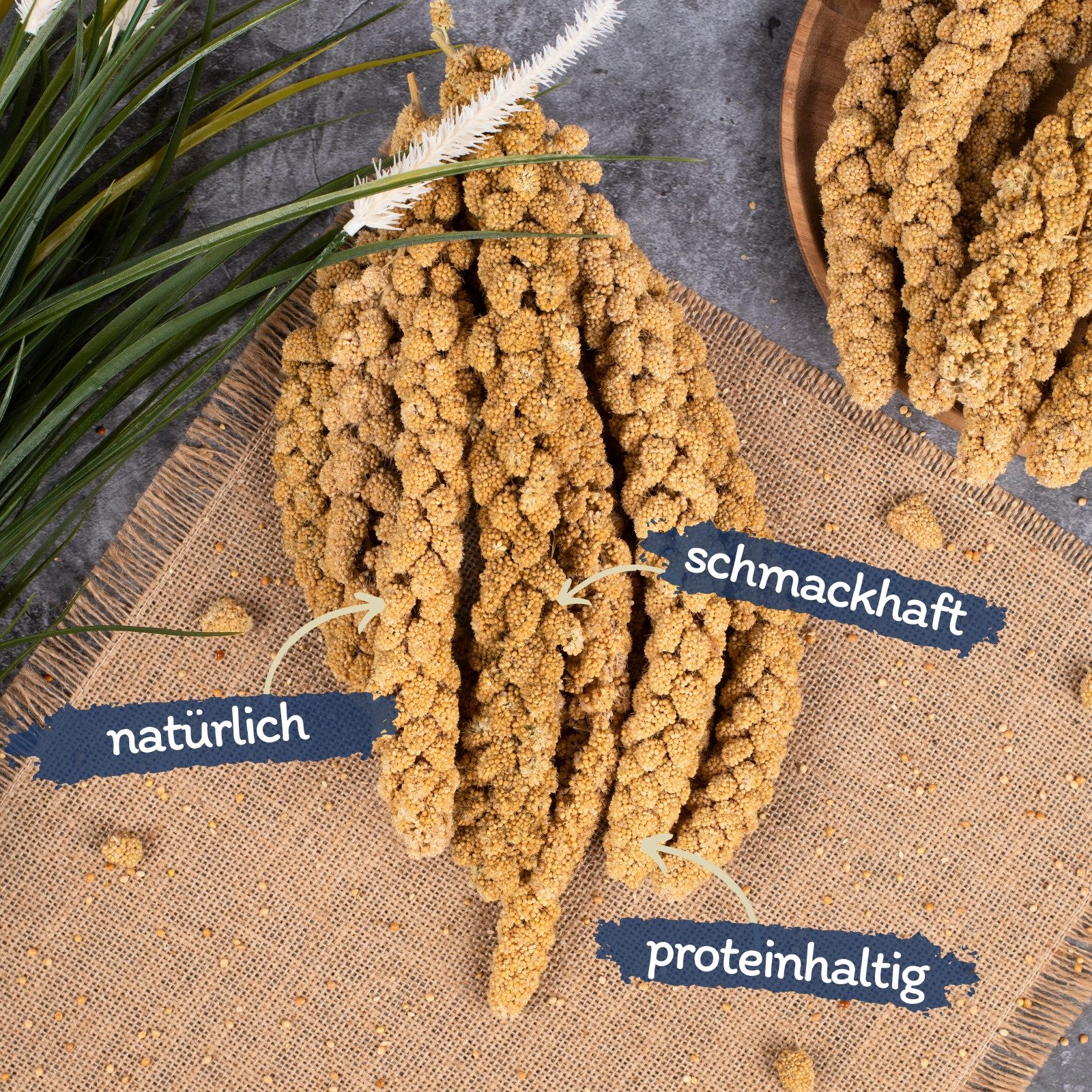 Lyra Pet 1 kg Lyra Pet® Kolbenhirse gelb, Getreide & Saaten für: Wildvogel, günstig online kaufen