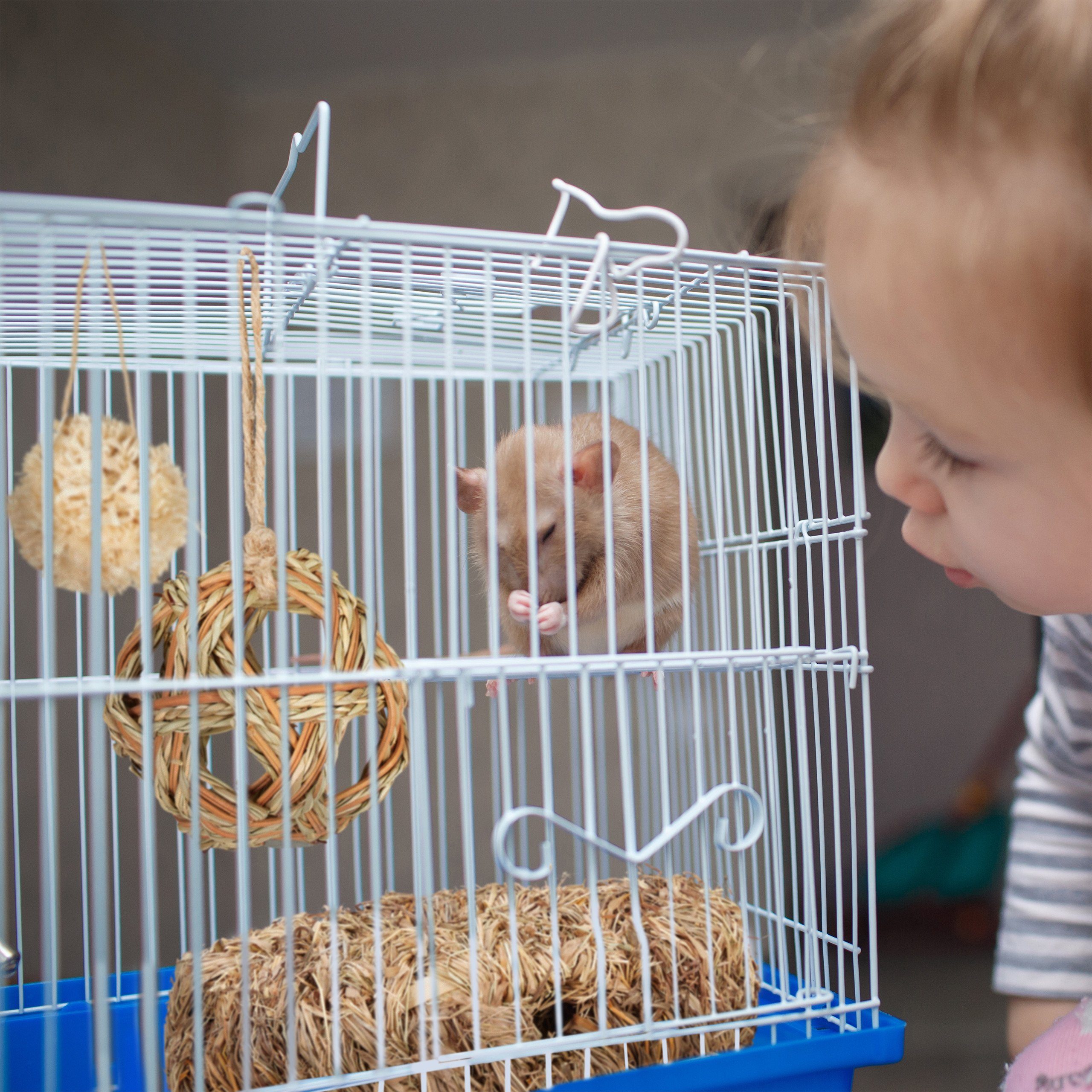 relaxdays Kleintiertunnel Hamster Zubehör Set 5 tlg., Pflanzenfaser