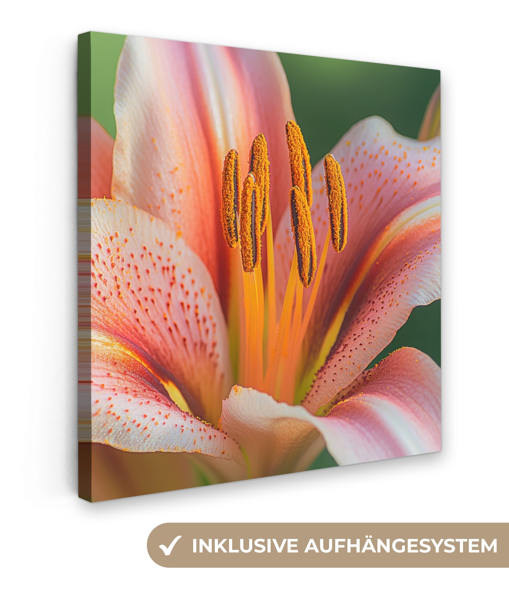 OneMillionCanvasses® Leinwandbild Lilie - Nahaufnahme - günstig online kaufen