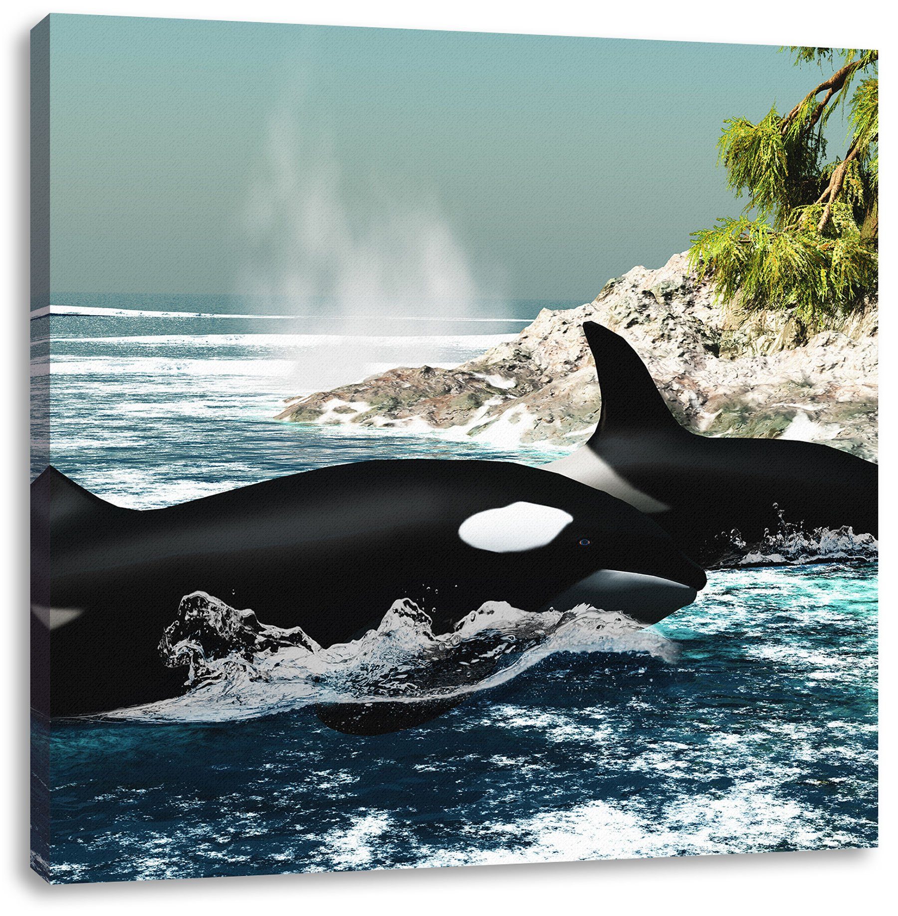 Pixxprint Leinwandbild Orcas vor Insel, Orcas vor Insel (1 St), Leinwandbild fertig bespannt, inkl. Zackenaufhänger
