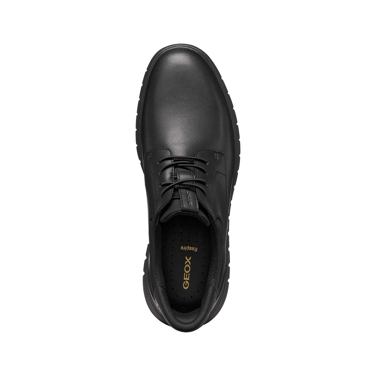 Geox GEOX FLEXTRIDE F PLUS, Sneaker, Schwarz, Herren Sneaker