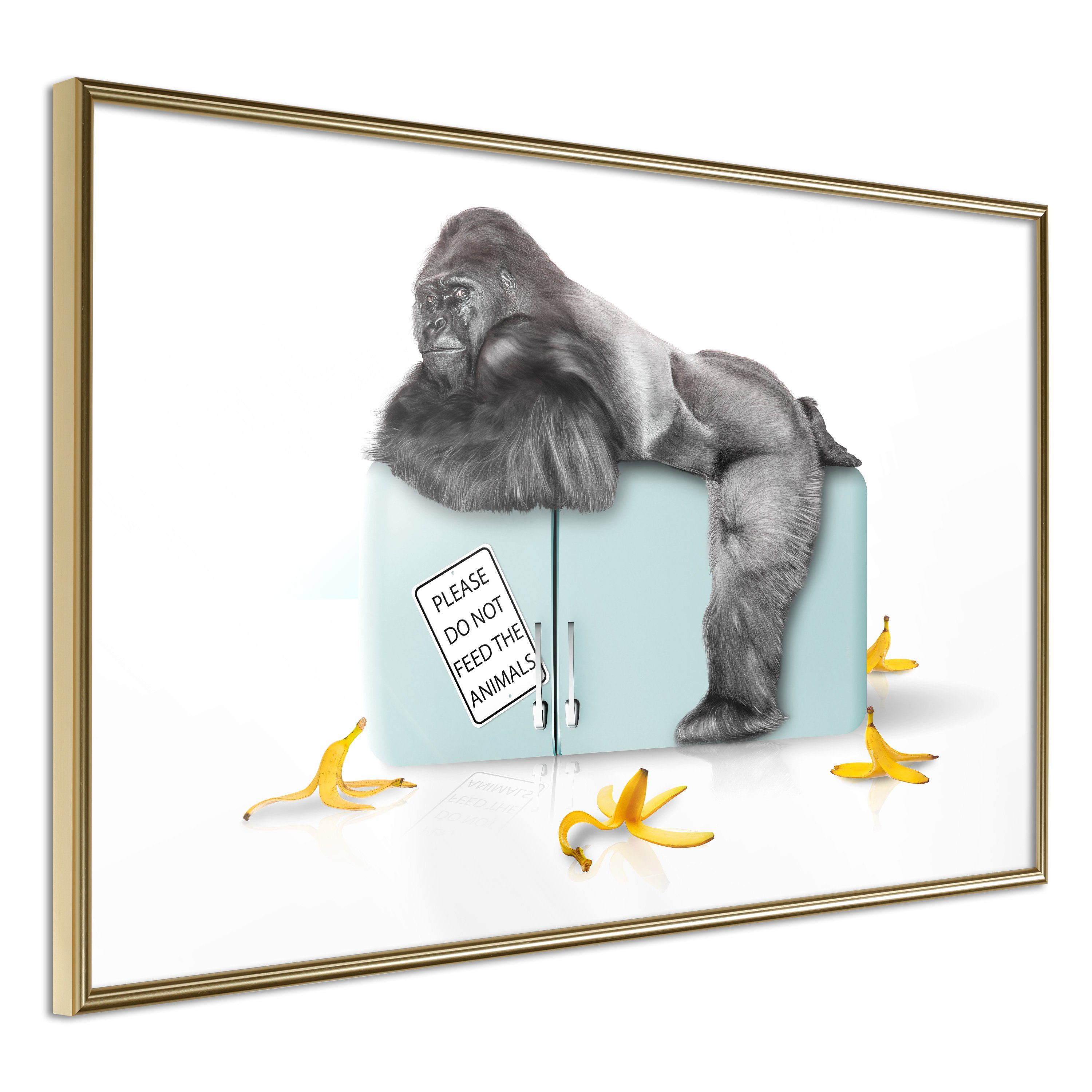 Artgeist Poster Hungry Gorilla []