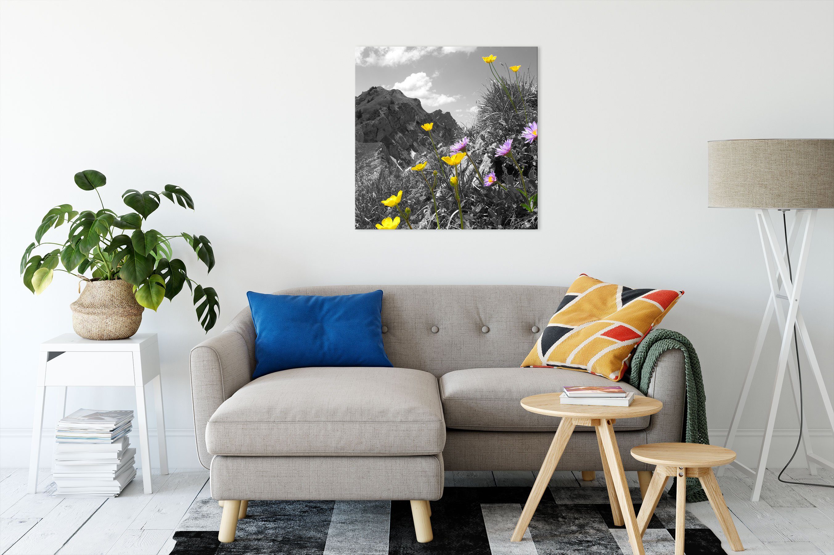 bespannt, Blumenwiese Zackenaufhänger Leinwandbild Blumenwiese im (1 im Frühling, Frühling Leinwandbild fertig St), inkl. Pixxprint