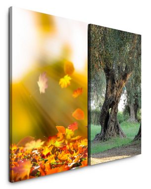 Sinus Art Leinwandbild 2 Bilder je 60x90cm Herbst Herbstblätter Baum Alter Olivenbaum Gold Grün Natur