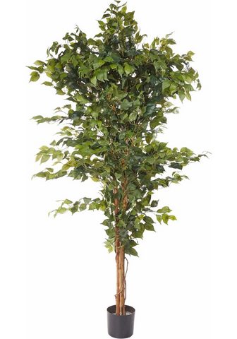  Искусственное растение »Ficus Be...