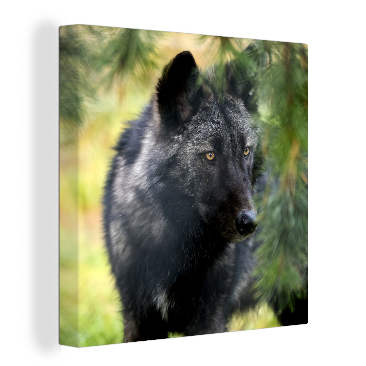 OneMillionCanvasses® Leinwandbild Wolf - Makro - Blätter, (1 St), Leinwand Bilder für Wohnzimmer Schlafzimmer