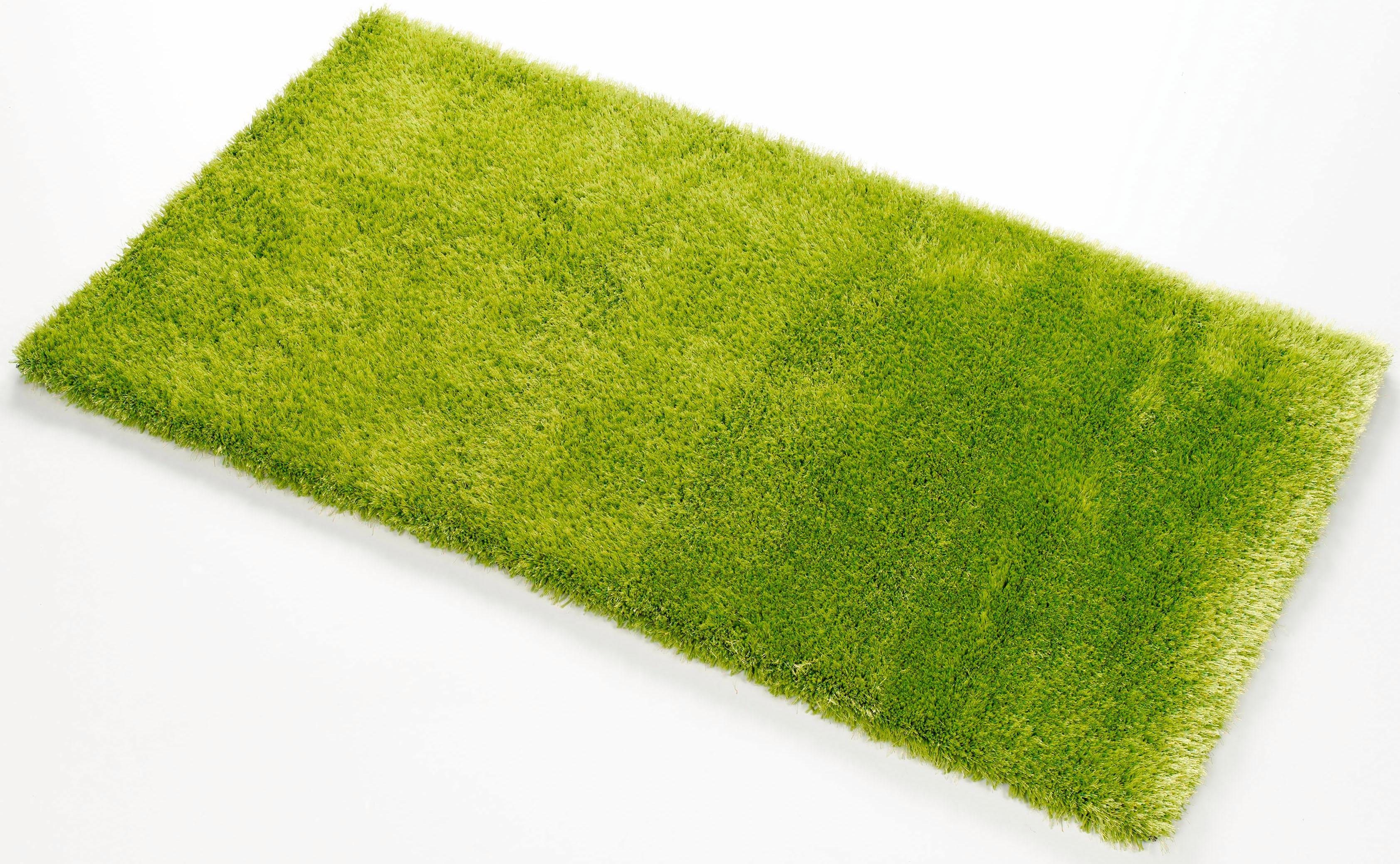 Hochflor-Teppich »«, , rechteckig, Höhe 40 mm, Besonders weich durch Microfaser Hochflor-Teppich »«, , rechteckig, Höhe 40 mm, Besonders weich durch Microfaser