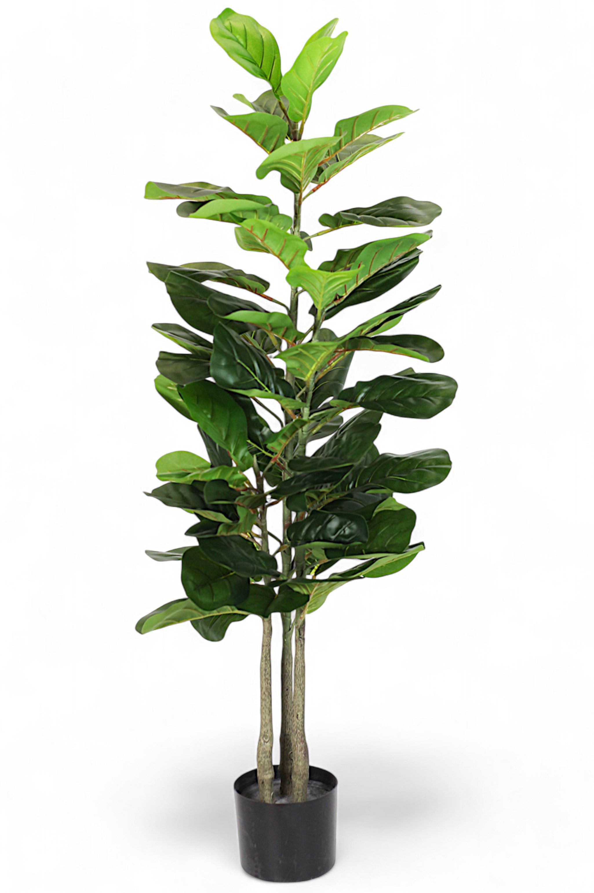 Kunstpflanze KP392 künstliche Pflanze Zimmerpflanze Dekoration Ficus Lyrata günstig online kaufen