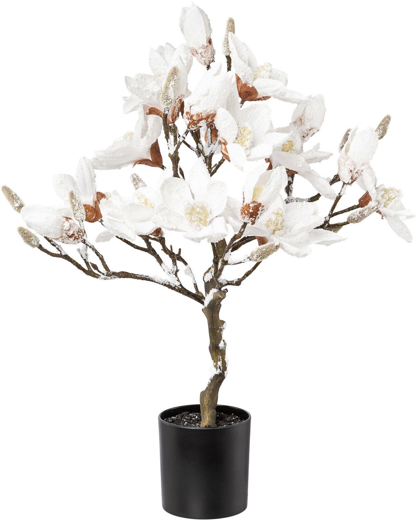 Winterliche Kunstpflanze Weihnachtsdeko Magnolie, Creativ green, günstig online kaufen