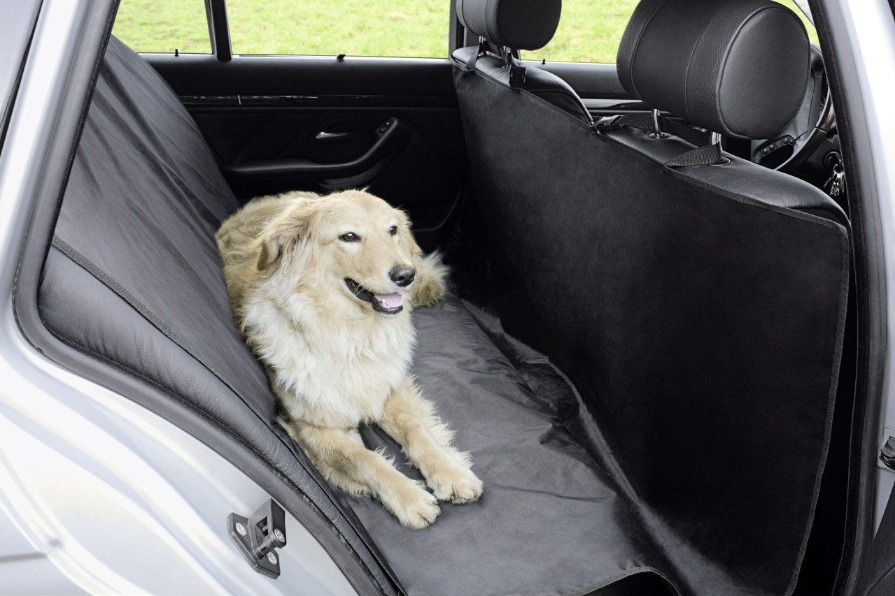 Nobby Hundematte Nobby Autositz Schutzdecke 215 x 145 cm, schwarz