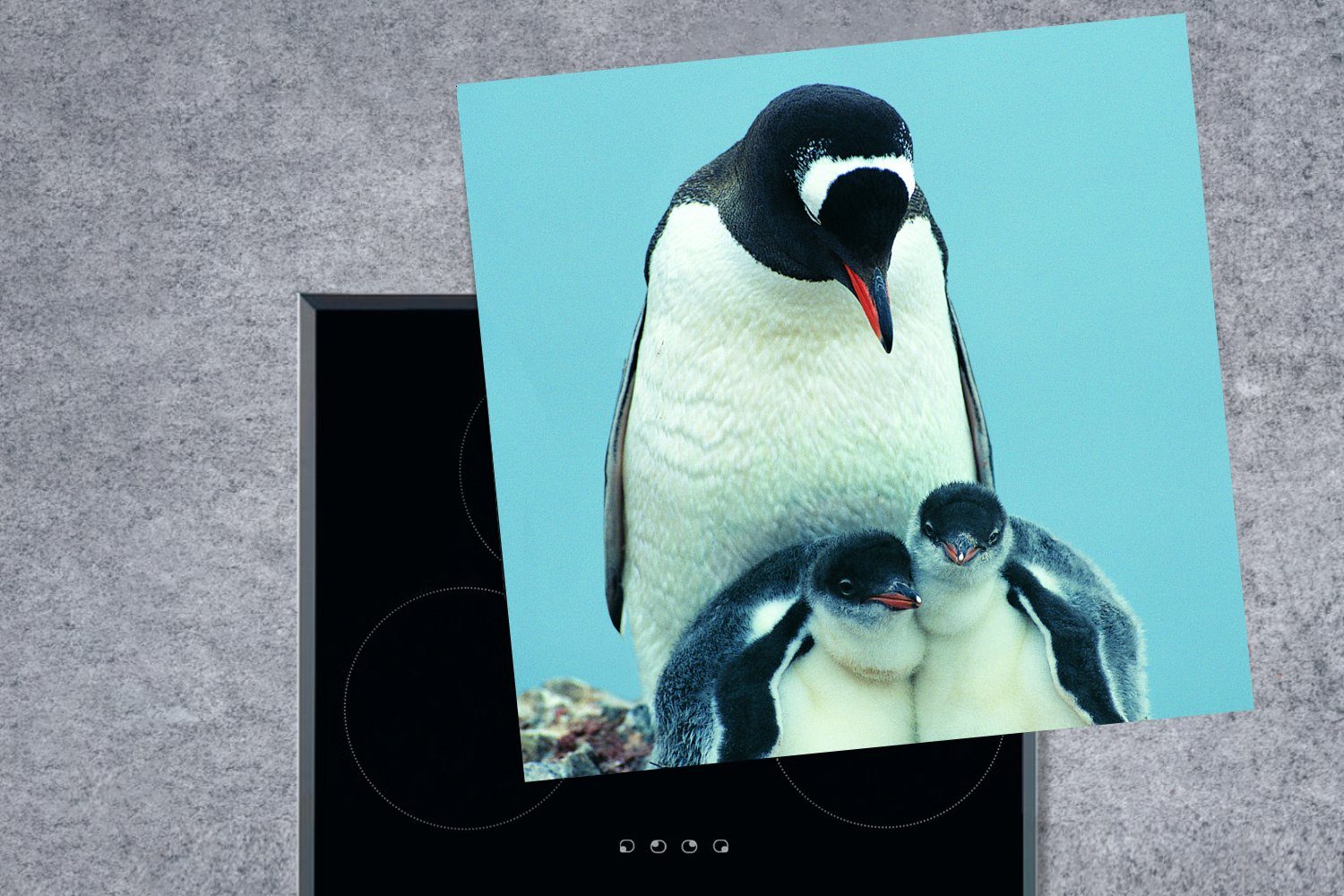 MuchoWow Küken, - Vinyl, Ceranfeldabdeckung, tlg), 78x78 küche Herdblende-/Abdeckplatte Tiere für (1 Pinguine - Arbeitsplatte cm,