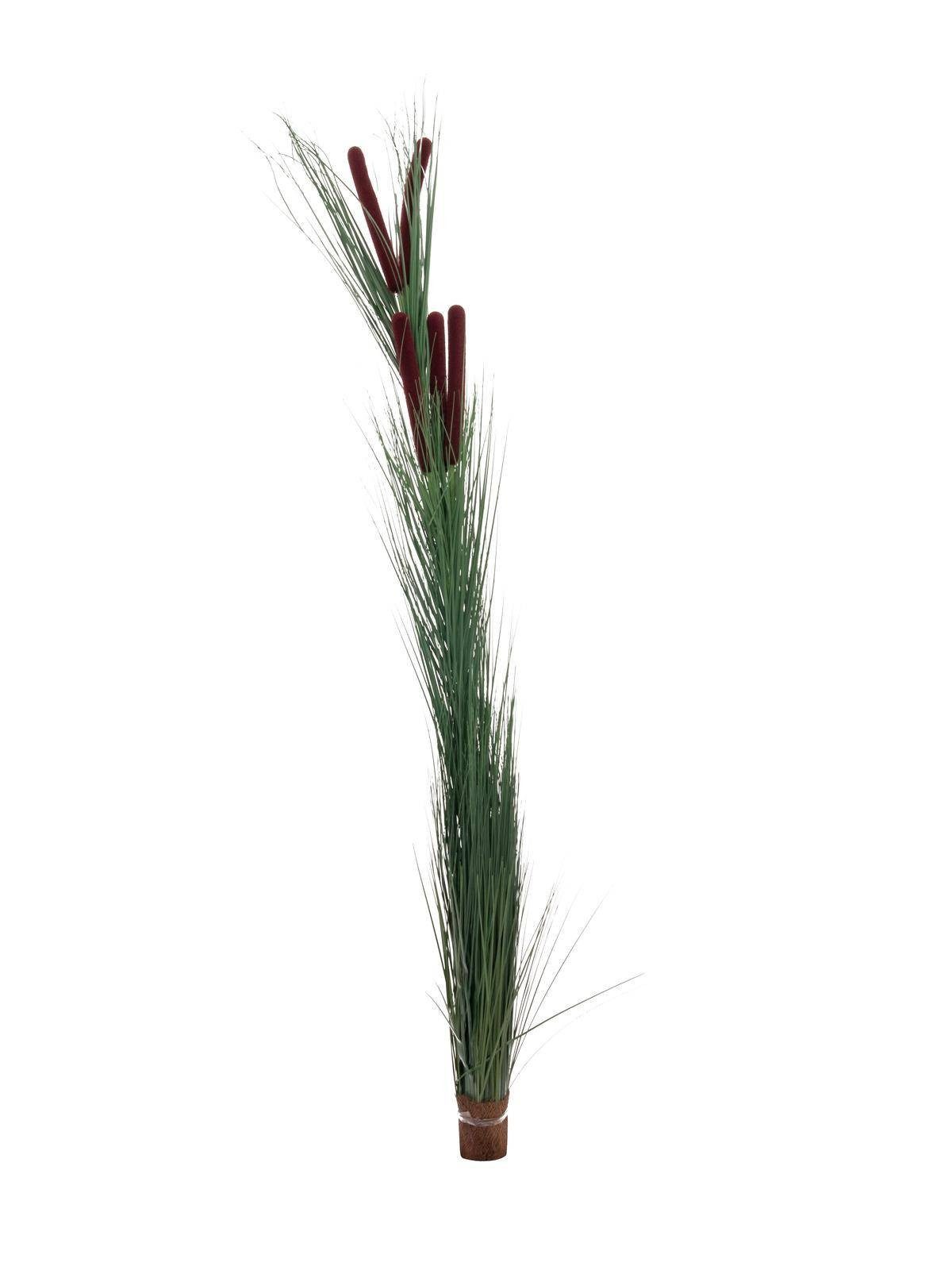Kunstgras Deko Schilfgras, Kolben, dunkelgrün, 150cm - Künstliches Gras Schilf, artplants, Höhe 150.0 cm