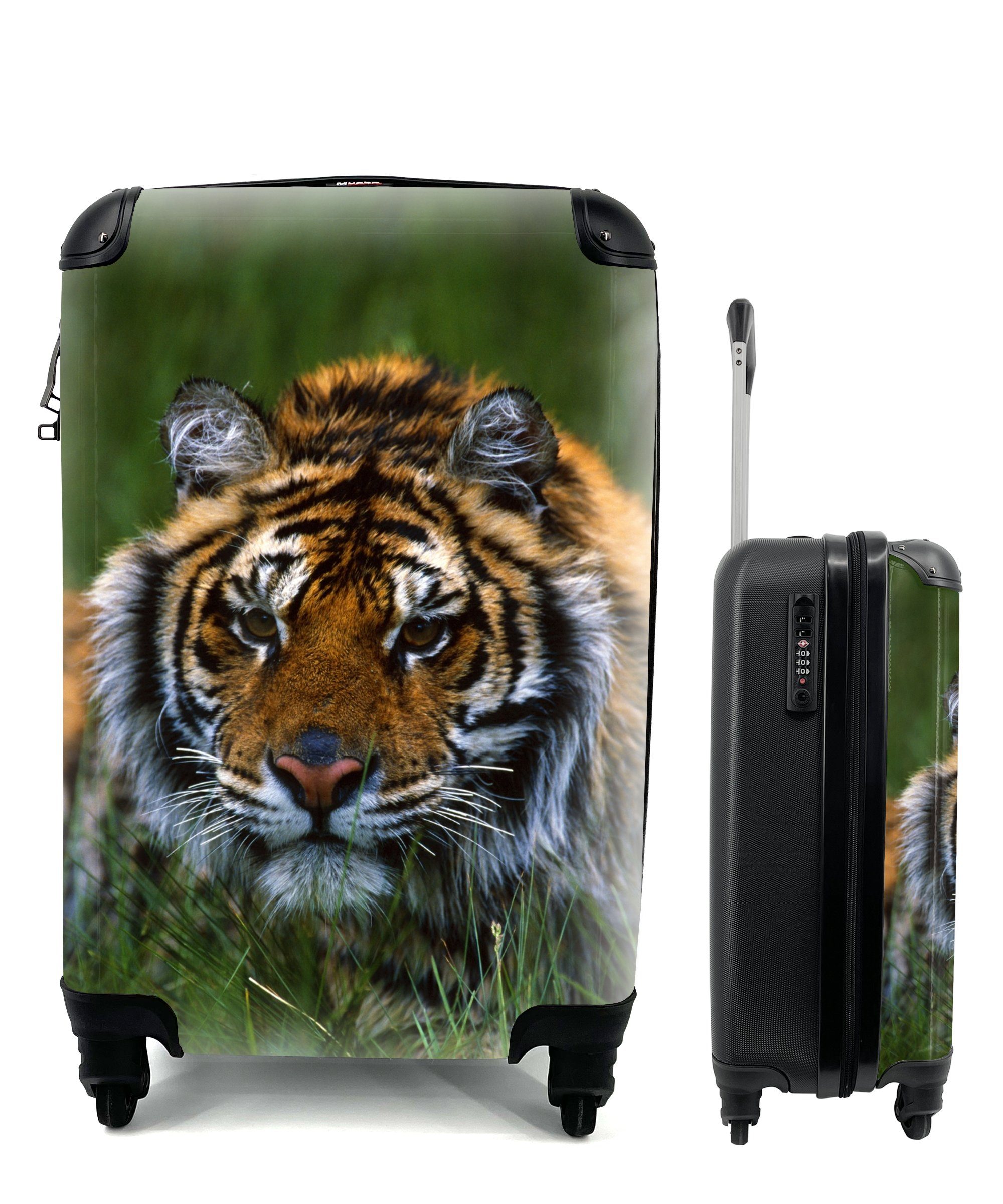 Reisekoffer mit Handgepäck Trolley, Gras MuchoWow Ferien, für Tiger versteckt, im Reisetasche Sibirischer 4 Handgepäckkoffer rollen, Rollen,