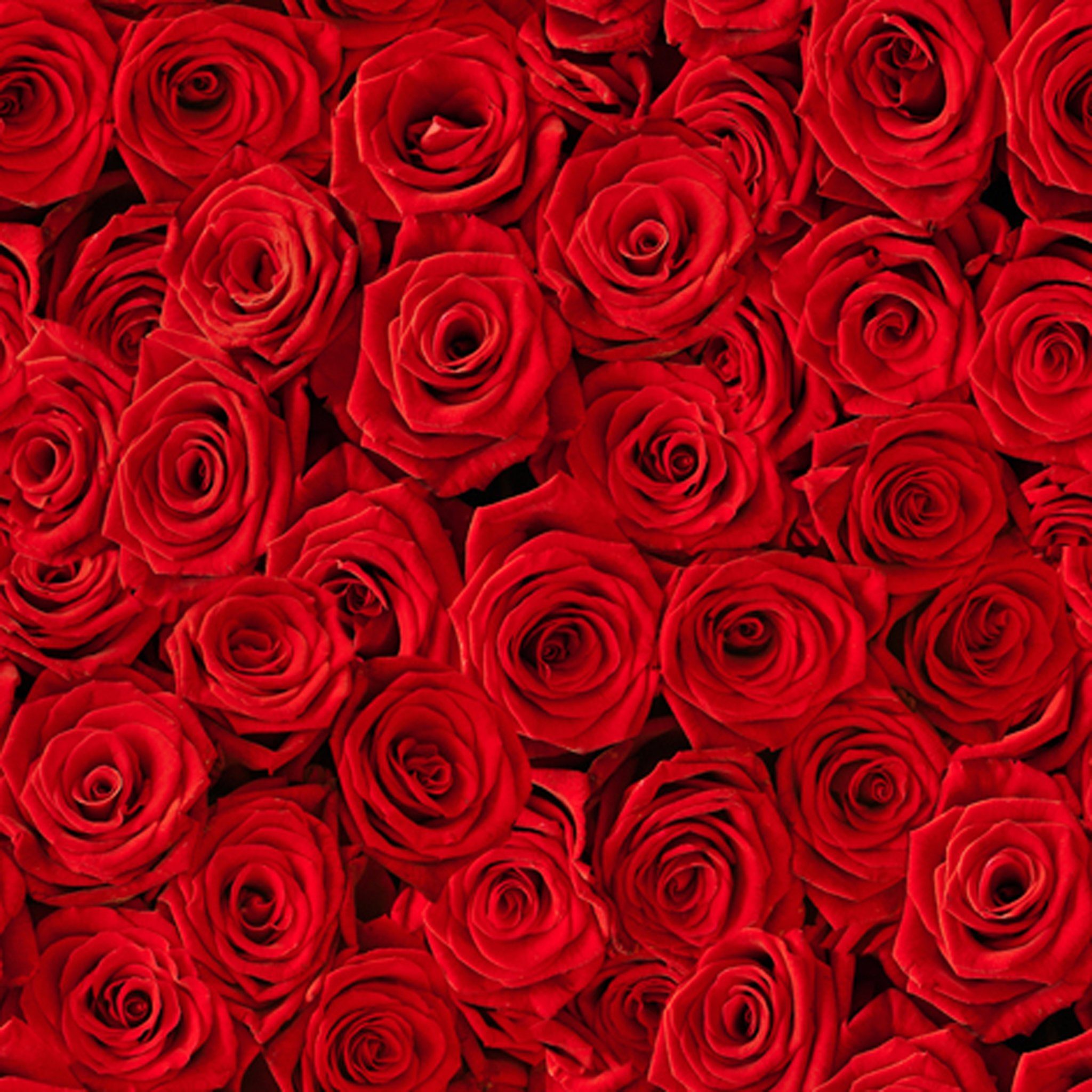 ti-flair Papierserviette, Servietten Papier 33x33cm 3-lagig Rosen 20 Stück rot