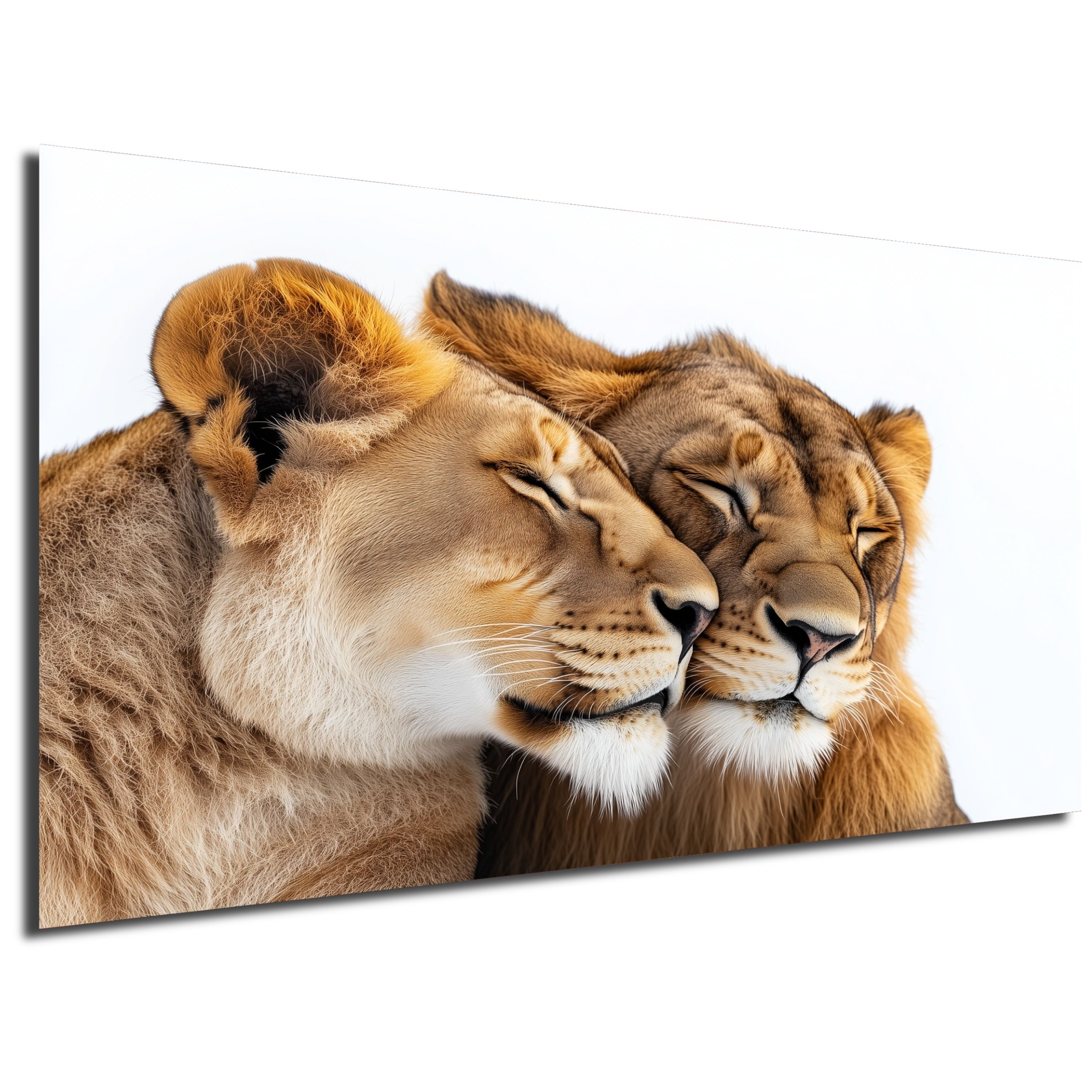 DARO Design Leinwandbild Modern Abstrakt Wandbilder günstig online kaufen