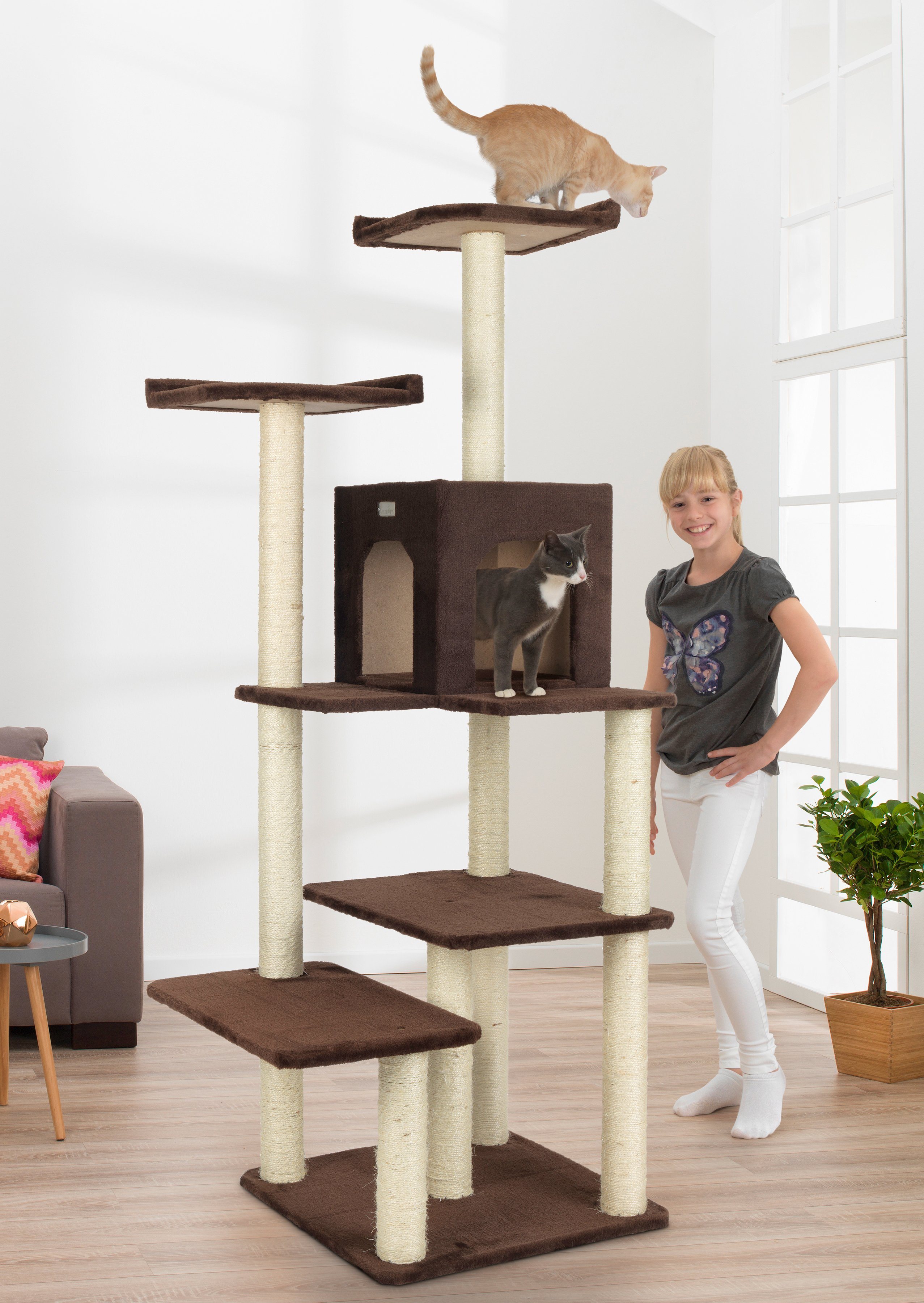 Kratzbaum »Emil«, B/T/H: 55/65/168 cm, braun Kratzbaum »Emil«, B/T/H: 55/65/168 cm, braun