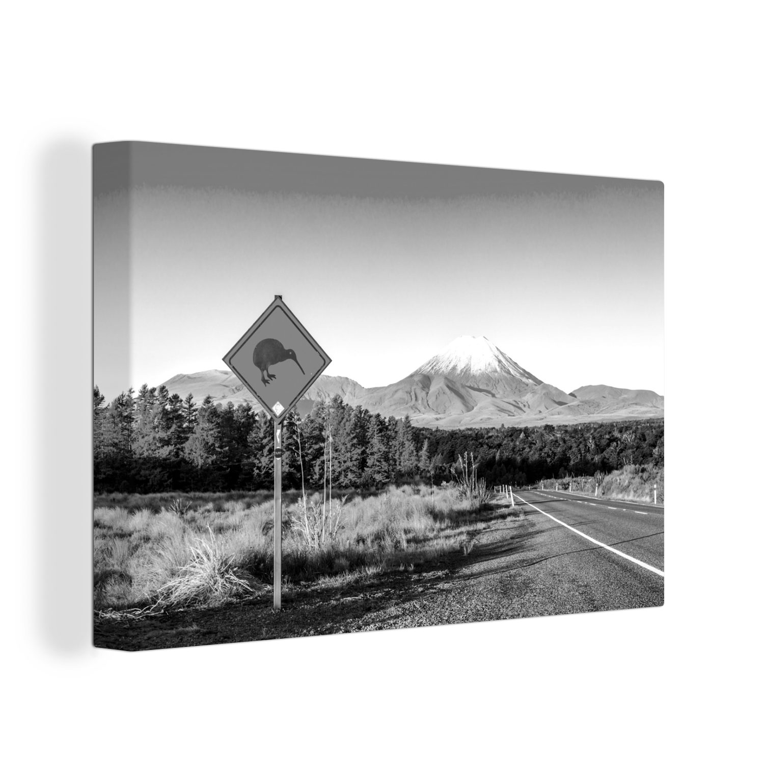 OneMillionCanvasses® Leinwandbild Kiwi-Teller in Neuseeland - schwarz und weiß, (1 St), Wandbild Leinwandbilder, Aufhängefertig, Wanddeko, 30x20 cm