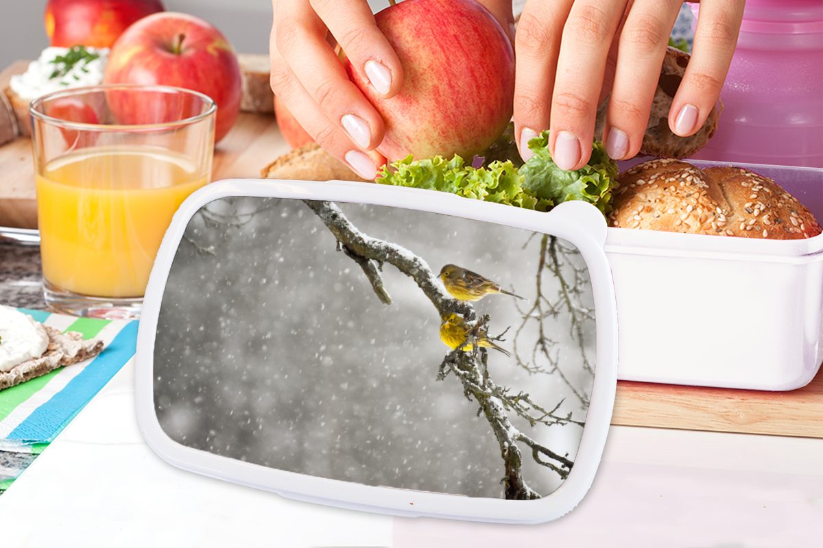 MuchoWow Lunchbox Goldammer - Schnee Brotbox weiß und (2-tlg), für Vogel, Kinder und Mädchen Kunststoff, Jungs Brotdose, für Erwachsene, 