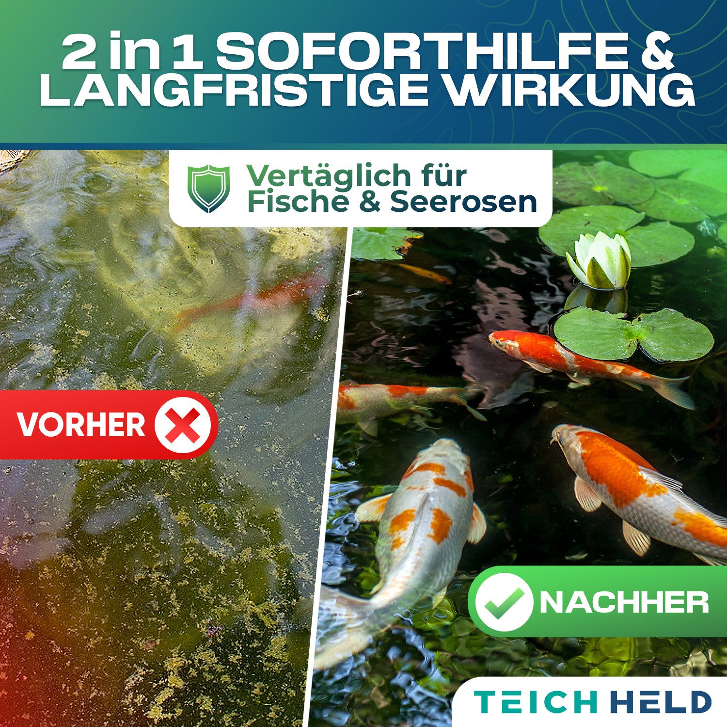 Teichheld Poolpflege Faden-Algenvernichter Teich-klar für kristallklares Wasser Anti Algen, Mit Aktivsauerstoff 7x stärkere Schnell-Aktiv-Formel