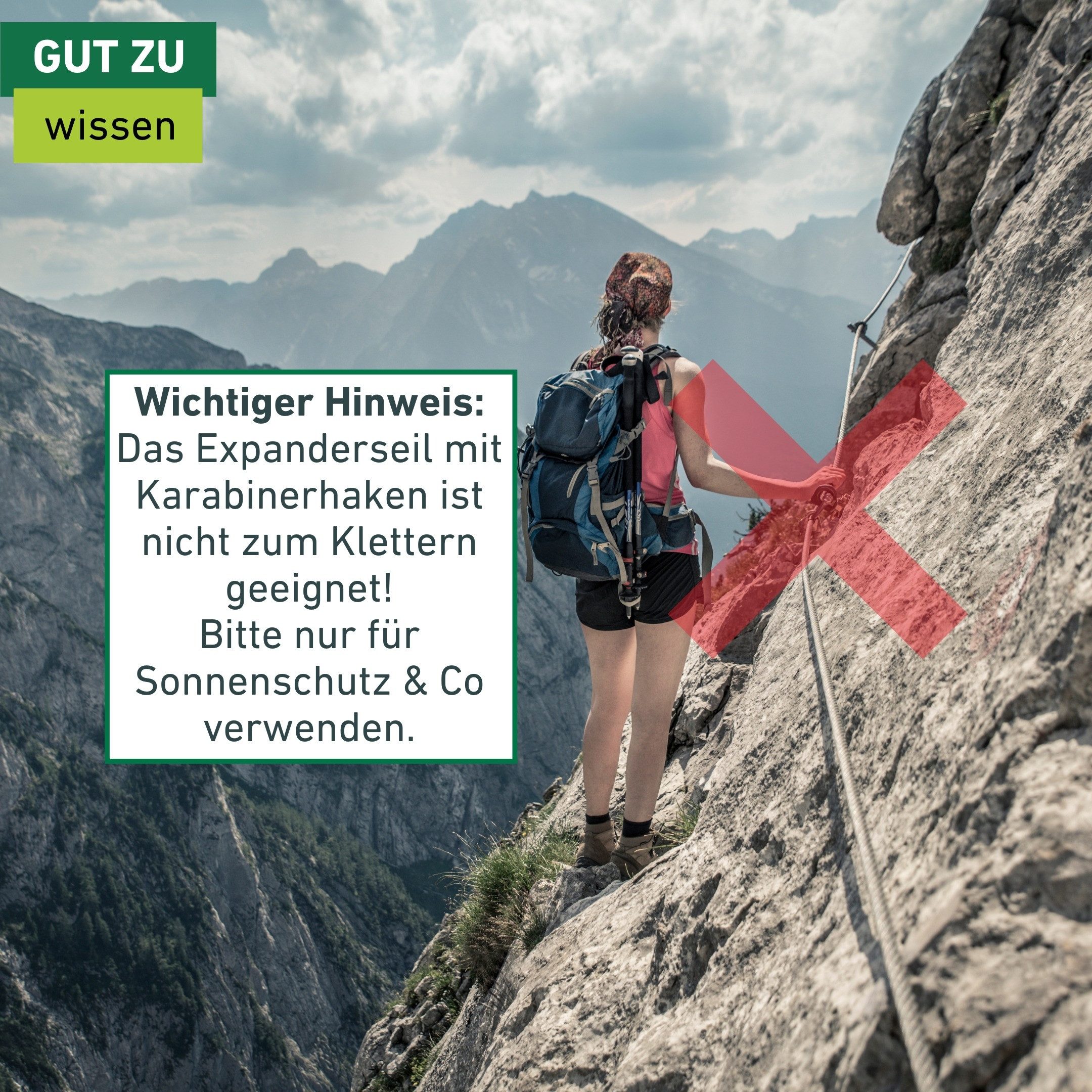Windhager Seilhaken Expanderseil inkl. Karabinerhaken, 2 Stk., elastisches Spannseil, (Packung, 2-St), zum Auf- und Abspannen von Sonnensegel, Gepäckspanner 70 cm