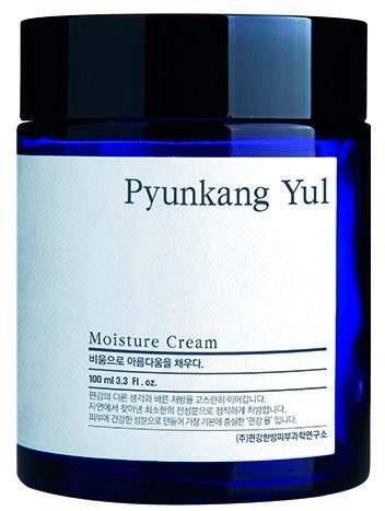 Feuchtigkeitscreme Moisture Cream