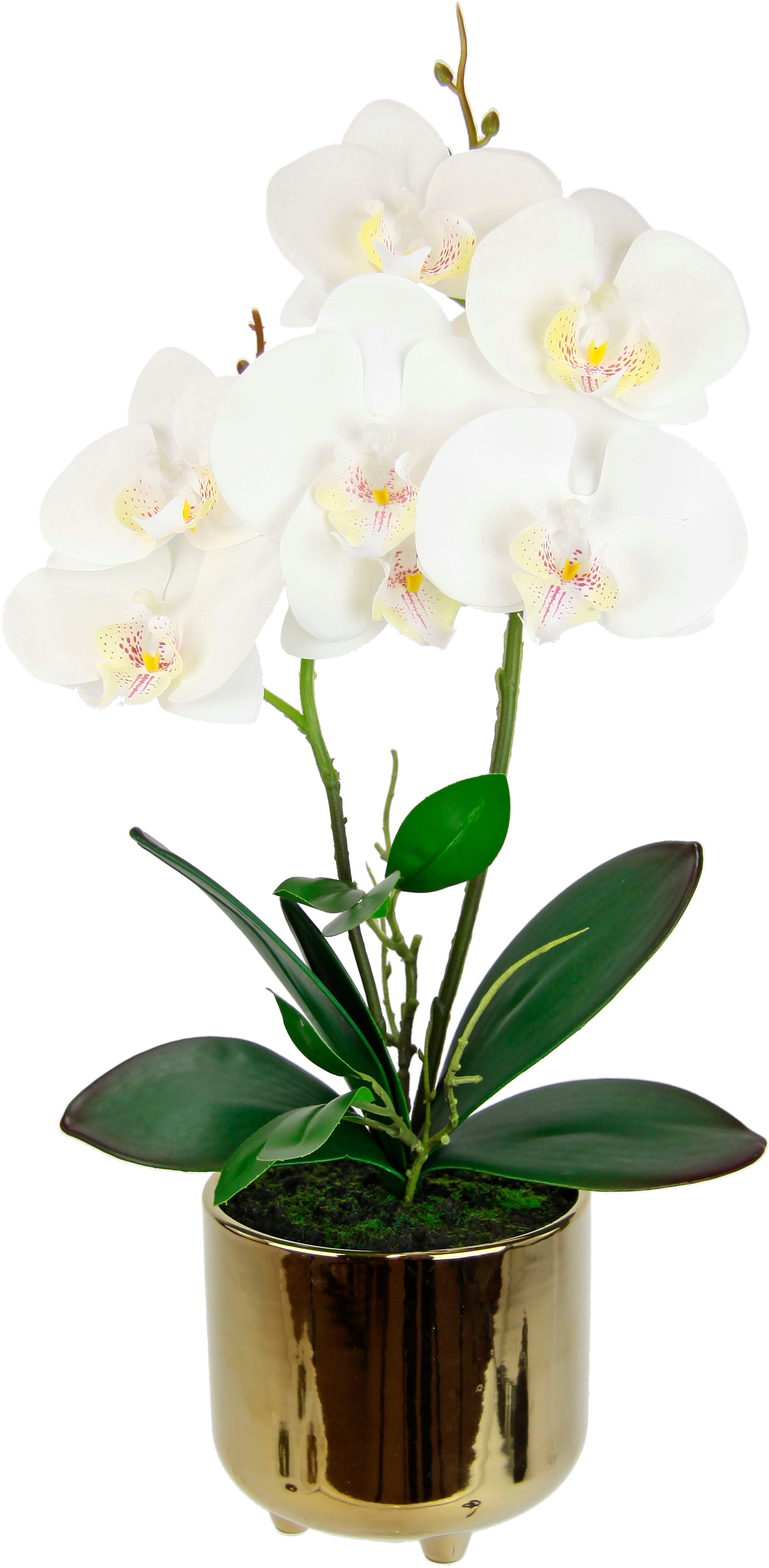 Kunstblume Orchidee, I.GE.A., Höhe 42 cm günstig online kaufen
