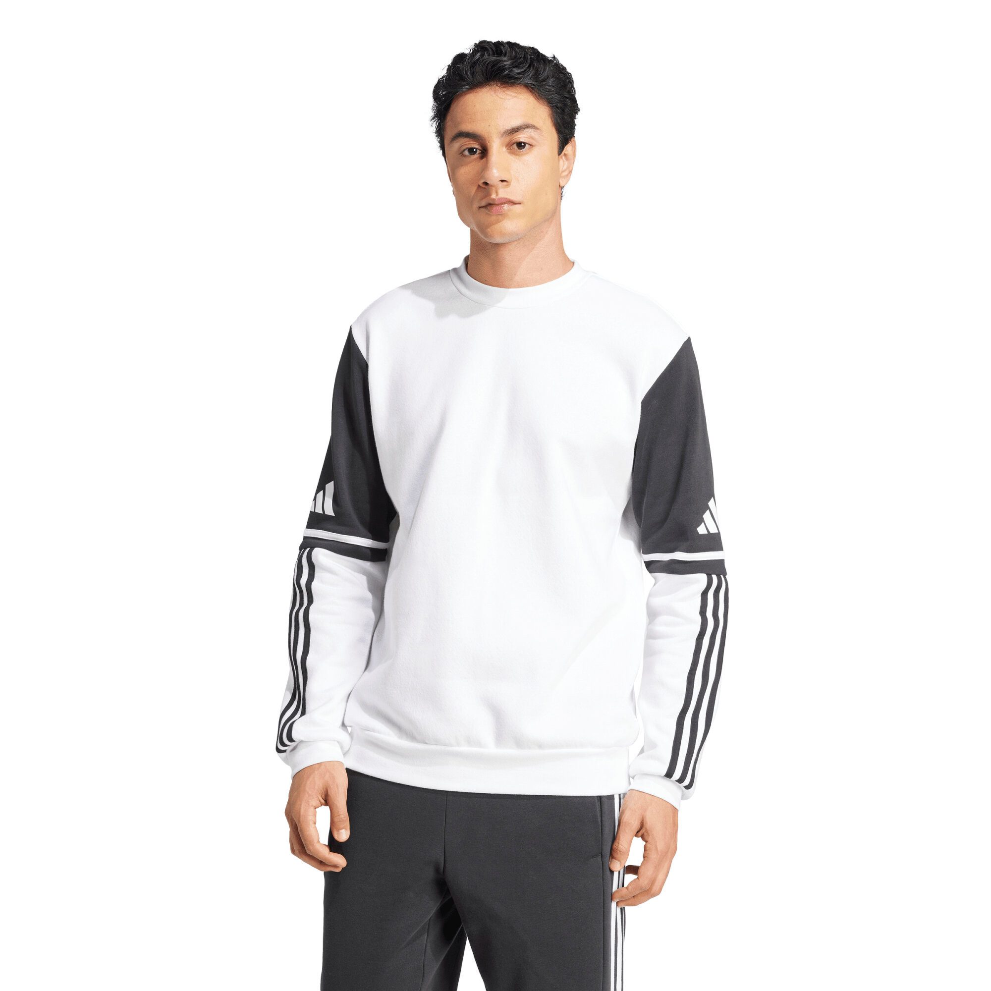 adidas Performance Fleecepullover adidas Herren Pullover Squadra 25 SW CREW günstig online kaufen