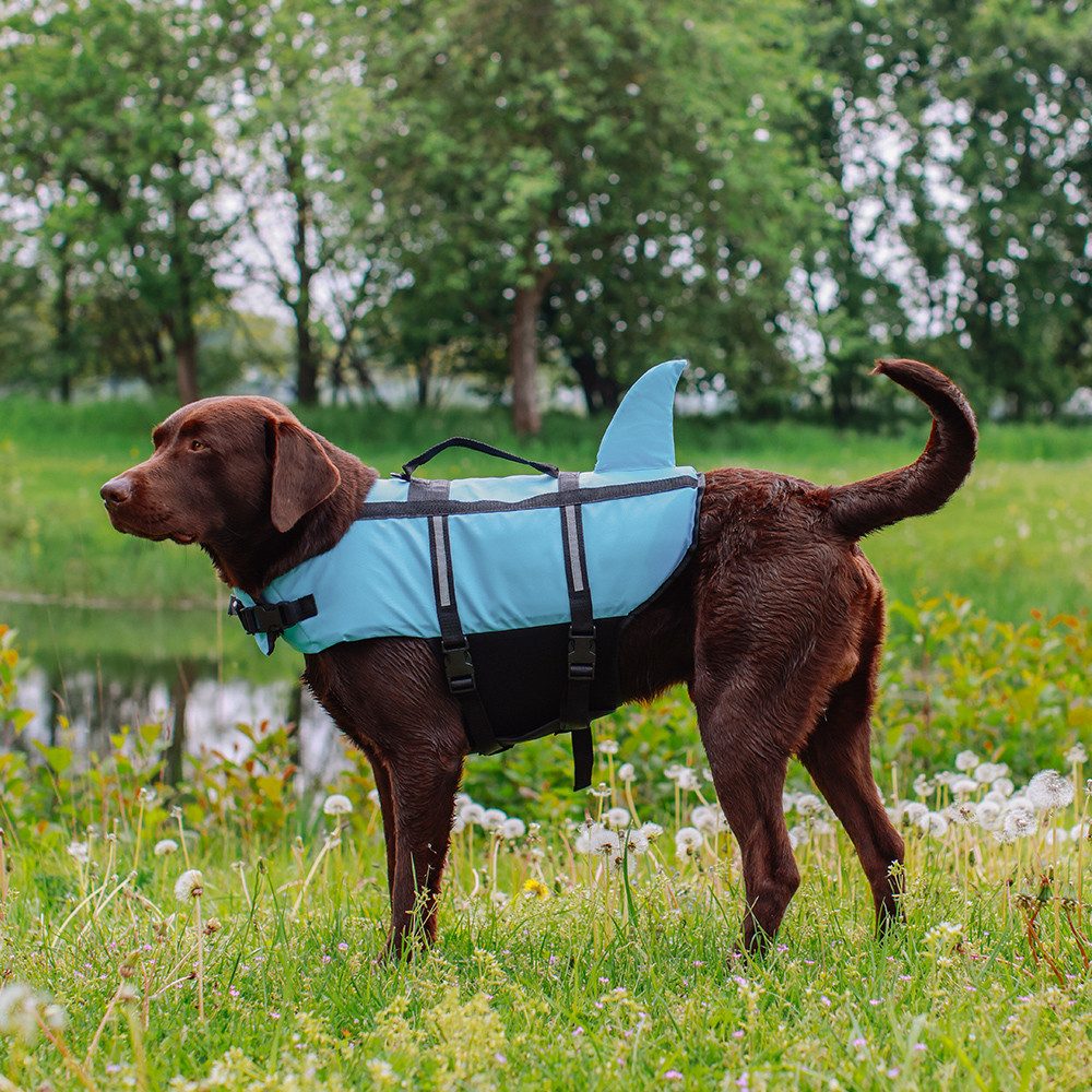 Nobby Hundeweste Schwimmhilfe "Sharki"