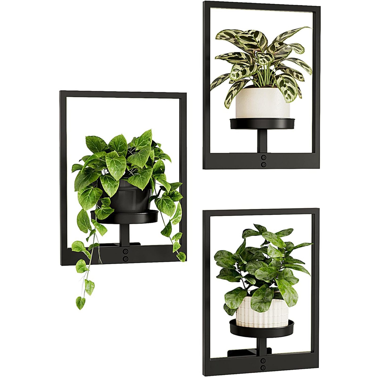 AIMAX Wanddekoobjekt Pflanzenständer Wandbehang für Zimmerpflanzen und Außenbereich 3 Set, Blumenständer mit Metallrahmen für Raumdekoration, blumenregal