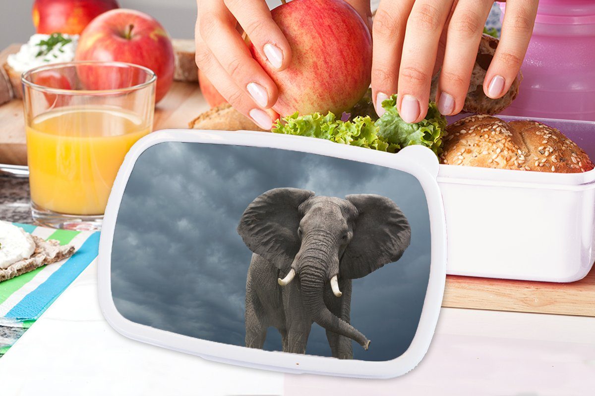 Kinder (2-tlg), - Kunststoff, Mädchen Lunchbox und für Jungs - - MuchoWow Tiere für Natur, und Brotdose, Elefant Brotbox Erwachsene, weiß Wolken