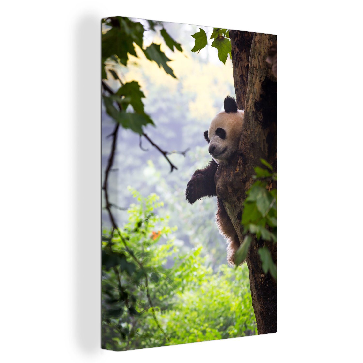 OneMillionCanvasses® Leinwandbild Panda - Baum - Wald, (1 St), Leinwandbild fertig bespannt inkl. Zackenaufhänger, Gemälde, 20x30 cm