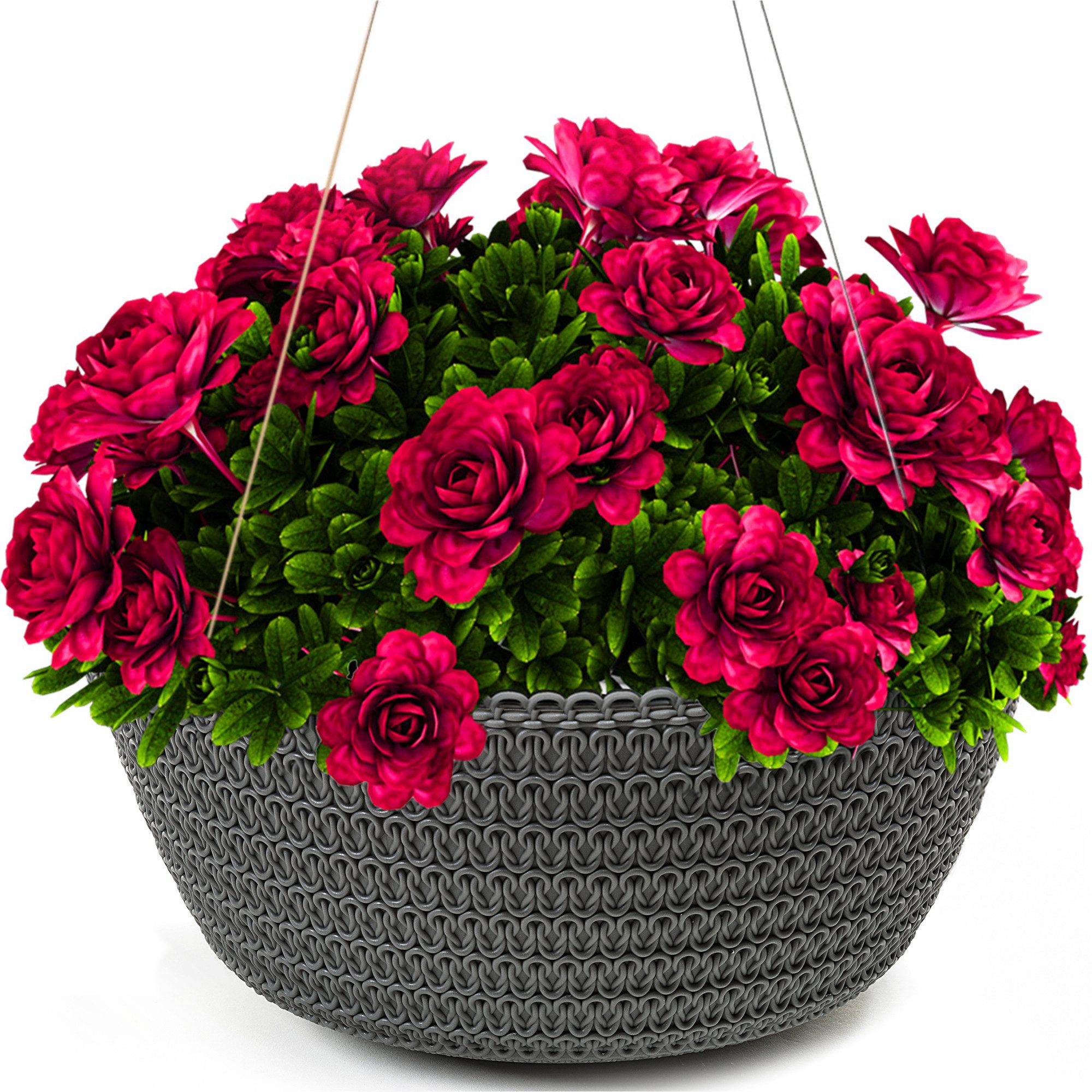 KONZEPT Blumenampel Hängend für Innen und günstig online kaufen