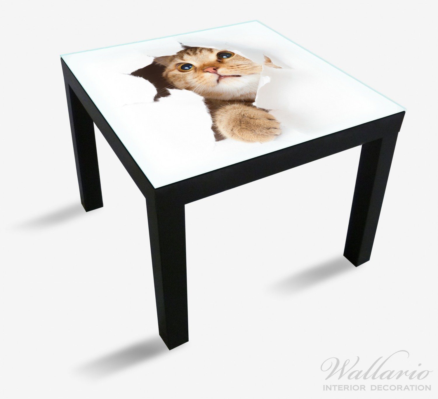 (1 geeignet mit Ikea Blick nach Wallario oben für Katze Lack Tischplatte St), Tisch
