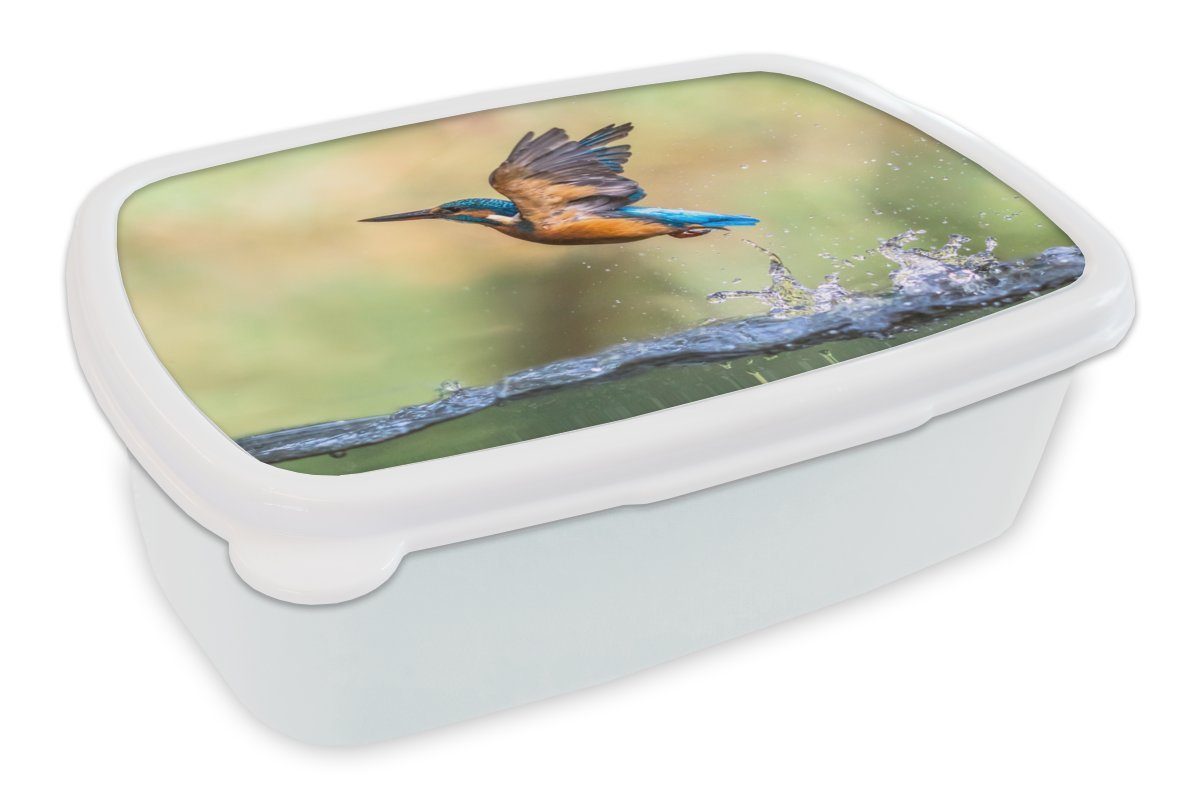 MuchoWow Lunchbox Eisvogel - Wasser - Fliegen, Kunststoff, (2-tlg), Brotbox für Kinder und Erwachsene, Brotdose, für Jungs und Mädchen weiß | Lunchboxen
