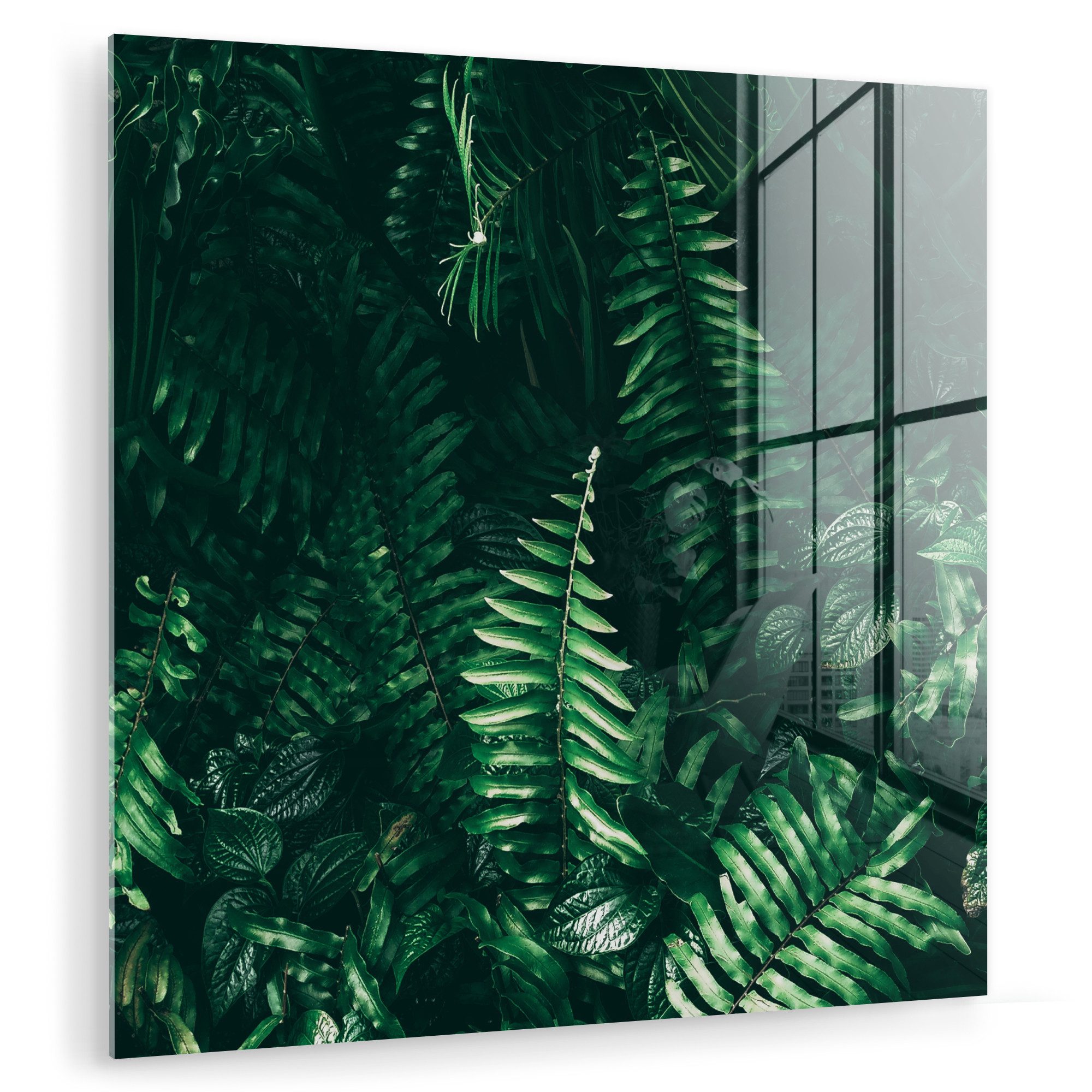 Acrylglasbild Blätter - Dschungel - Natur - Tropisch - Pflanzen