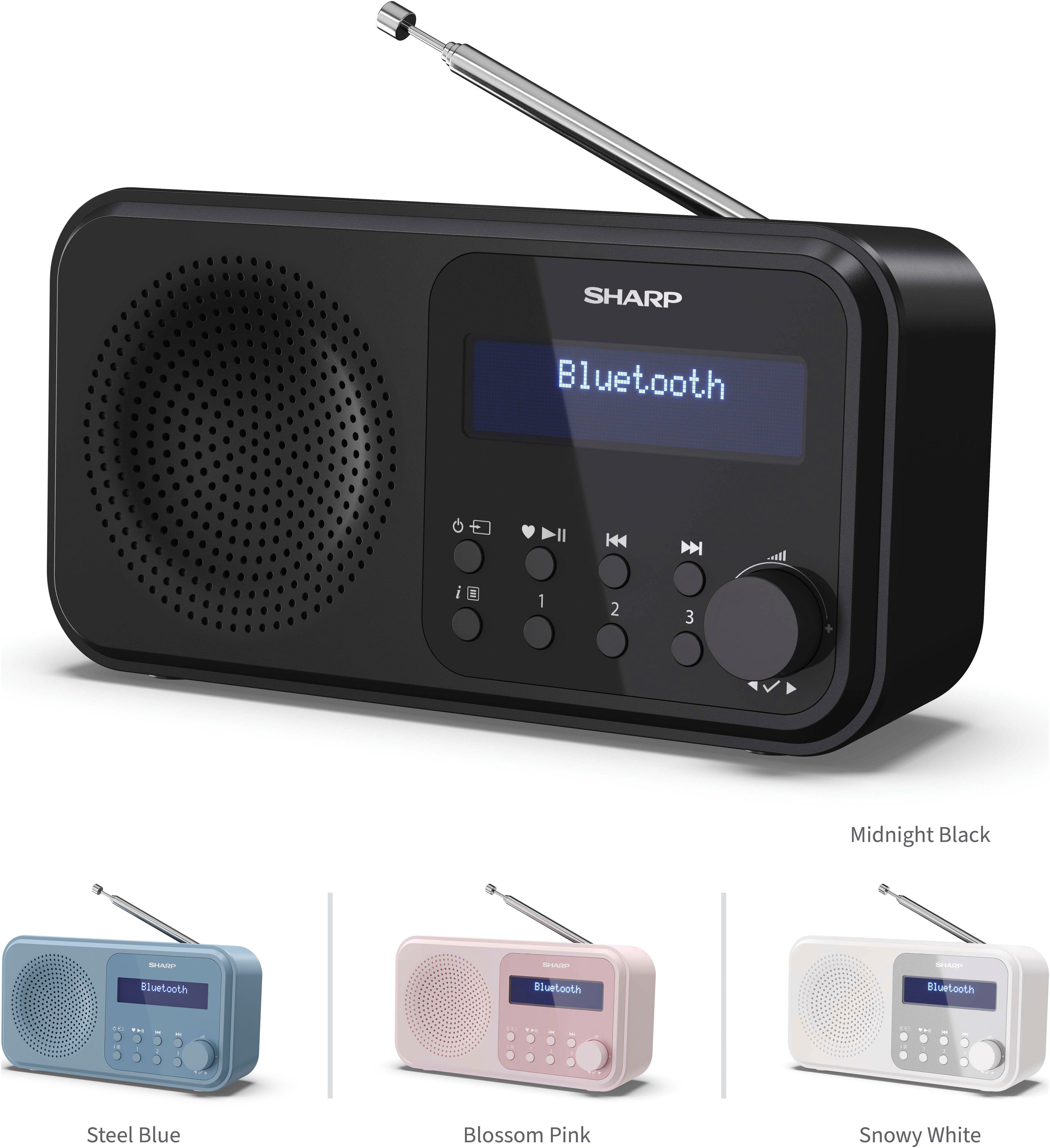 DR-P420 Radio