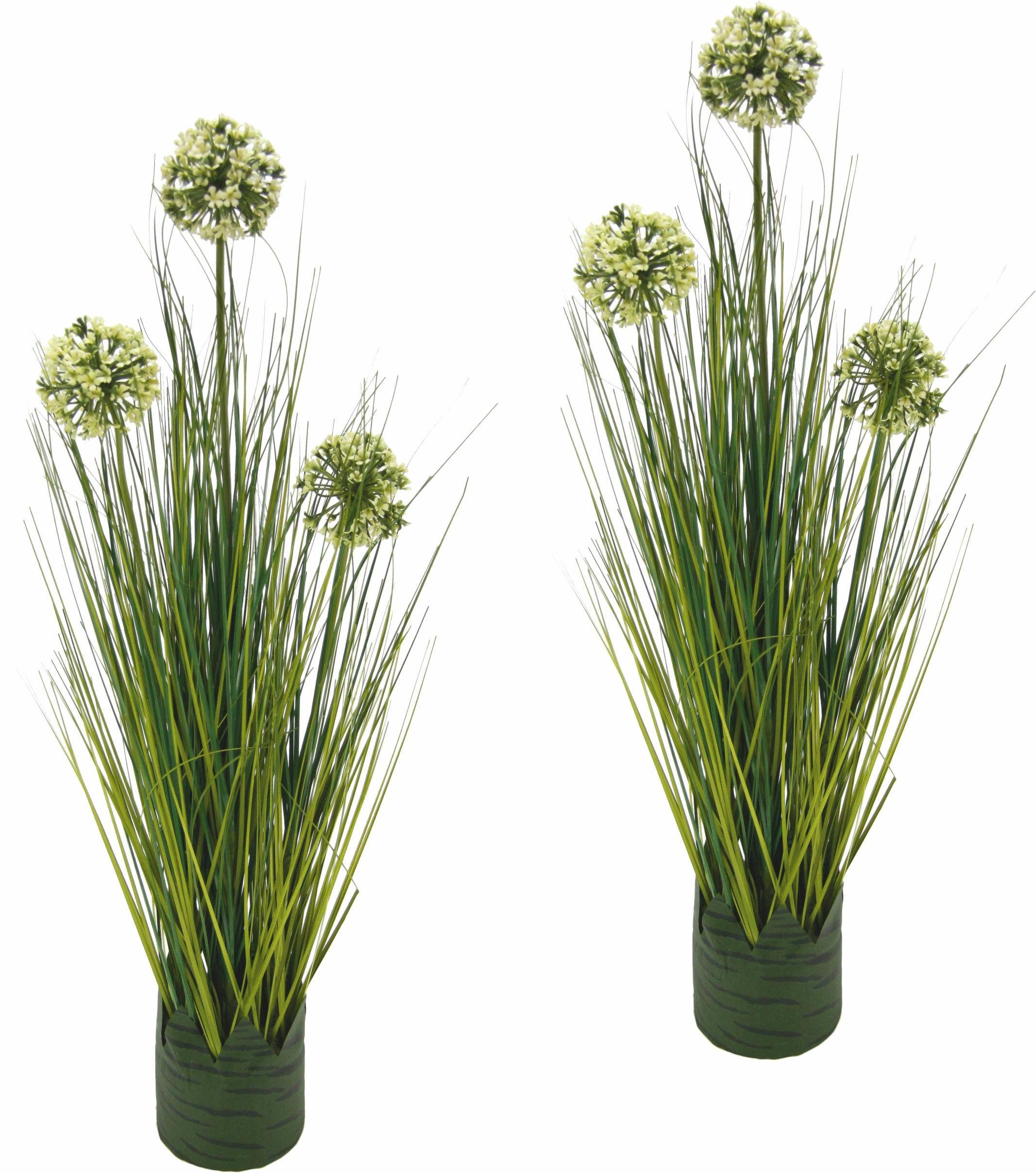 Kunstpflanze »Grasbusch Allium 62 cm«« Gras, Höhe 65 cm ...