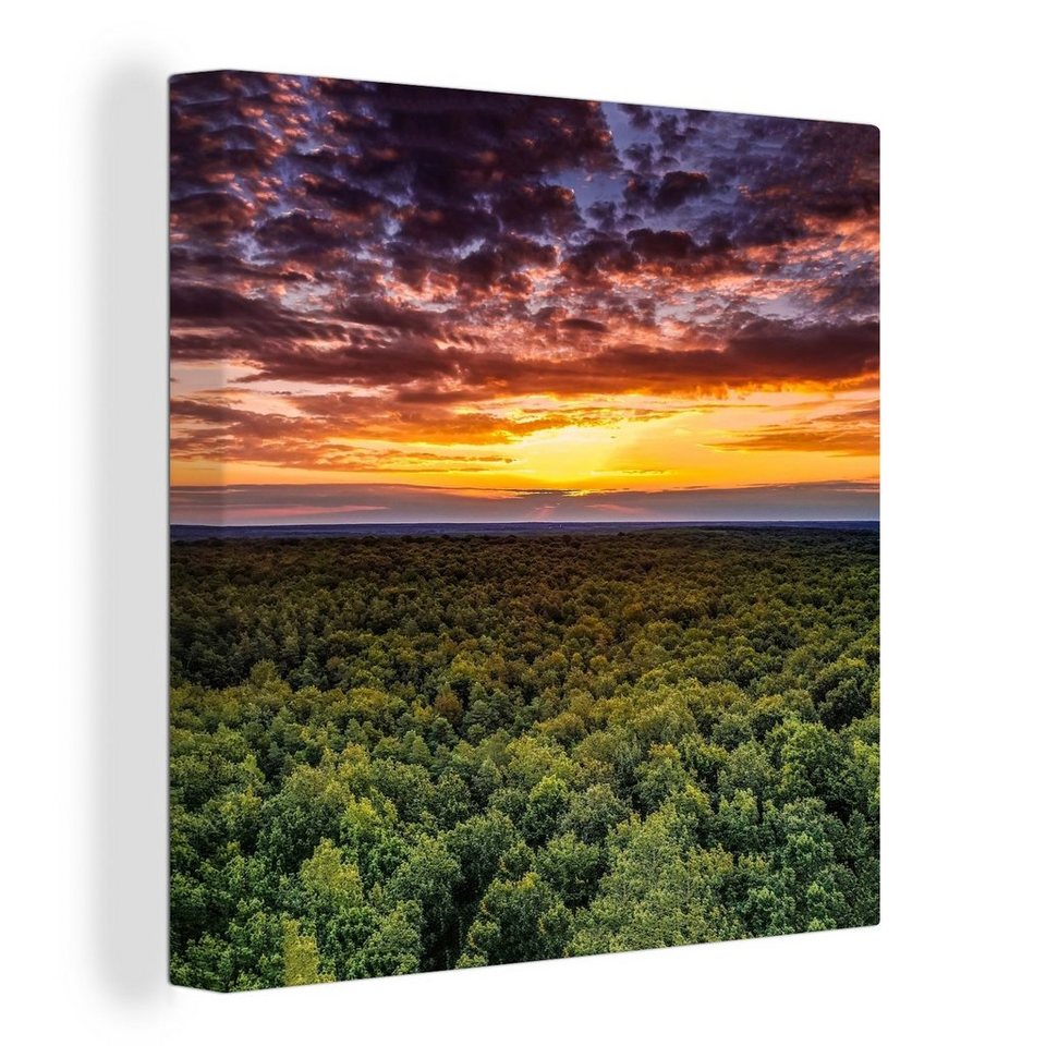 OneMillionCanvasses® Leinwandbild Wald - Nacht - Himmel - Horizont - Bäume,  (1 St), Leinwand Bilder für Wohnzimmer Schlafzimmer