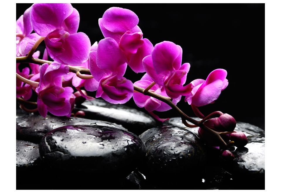 Vliestapete Steine halb-matt, - lichtbeständige KUNSTLOFT und Pure Zen m, Orchidee Design Tapete 2x1.54 Harmonie: