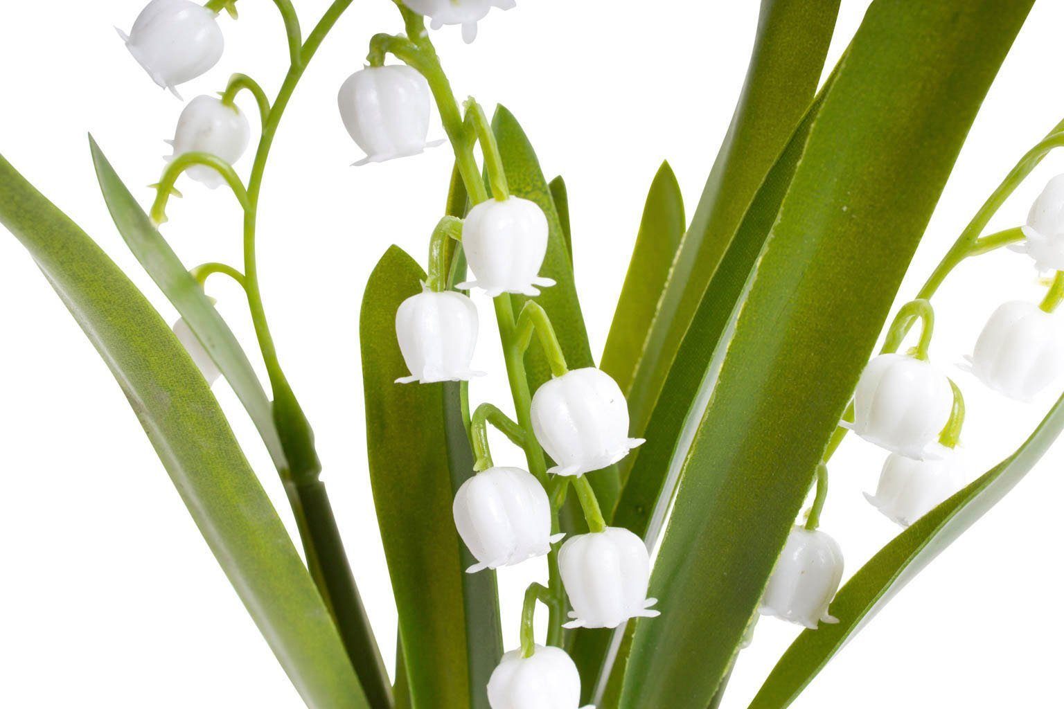 Kunstblume Maiglöckchen im Glas, Botanic-Haus, Höhe 20 cm günstig online kaufen