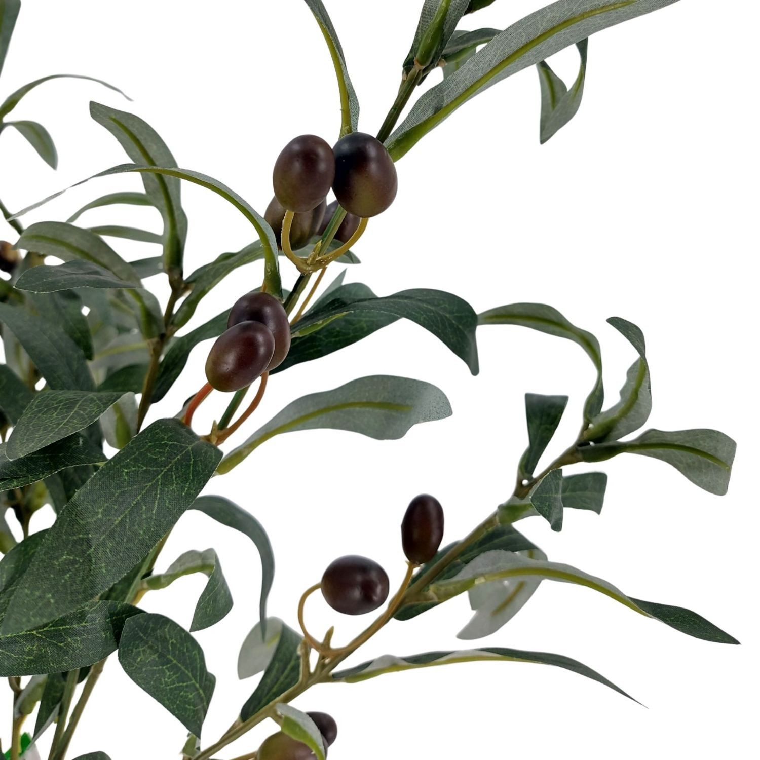 Kunstpflanze Olive, Emerald, Höhe 75 cm, Farbe: Grün