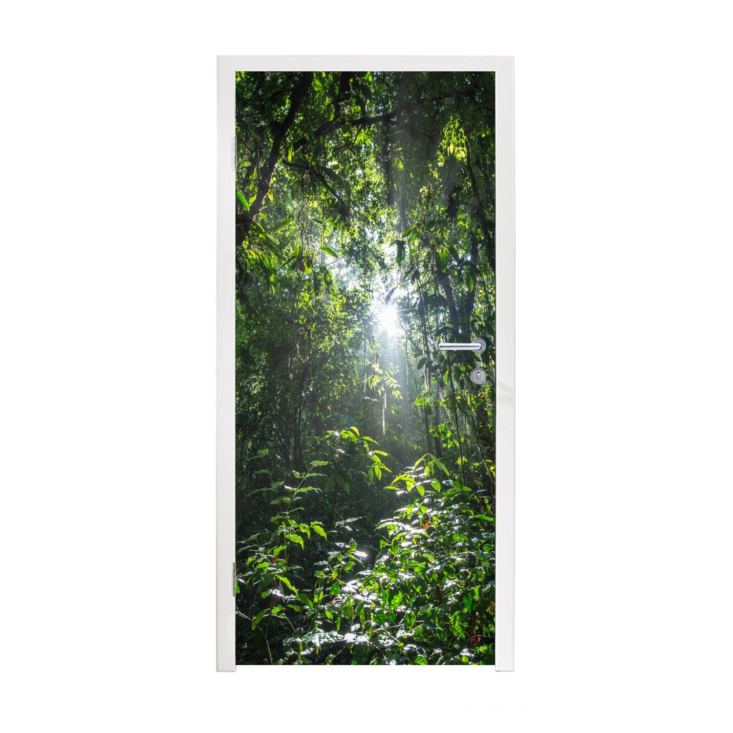 MuchoWow Türtapete Die Sonne bricht durch das Laub, Costa Rica, Matt, bedruckt, (1 St), Fototapete für Tür, Türaufkleber, 75x205 cm
