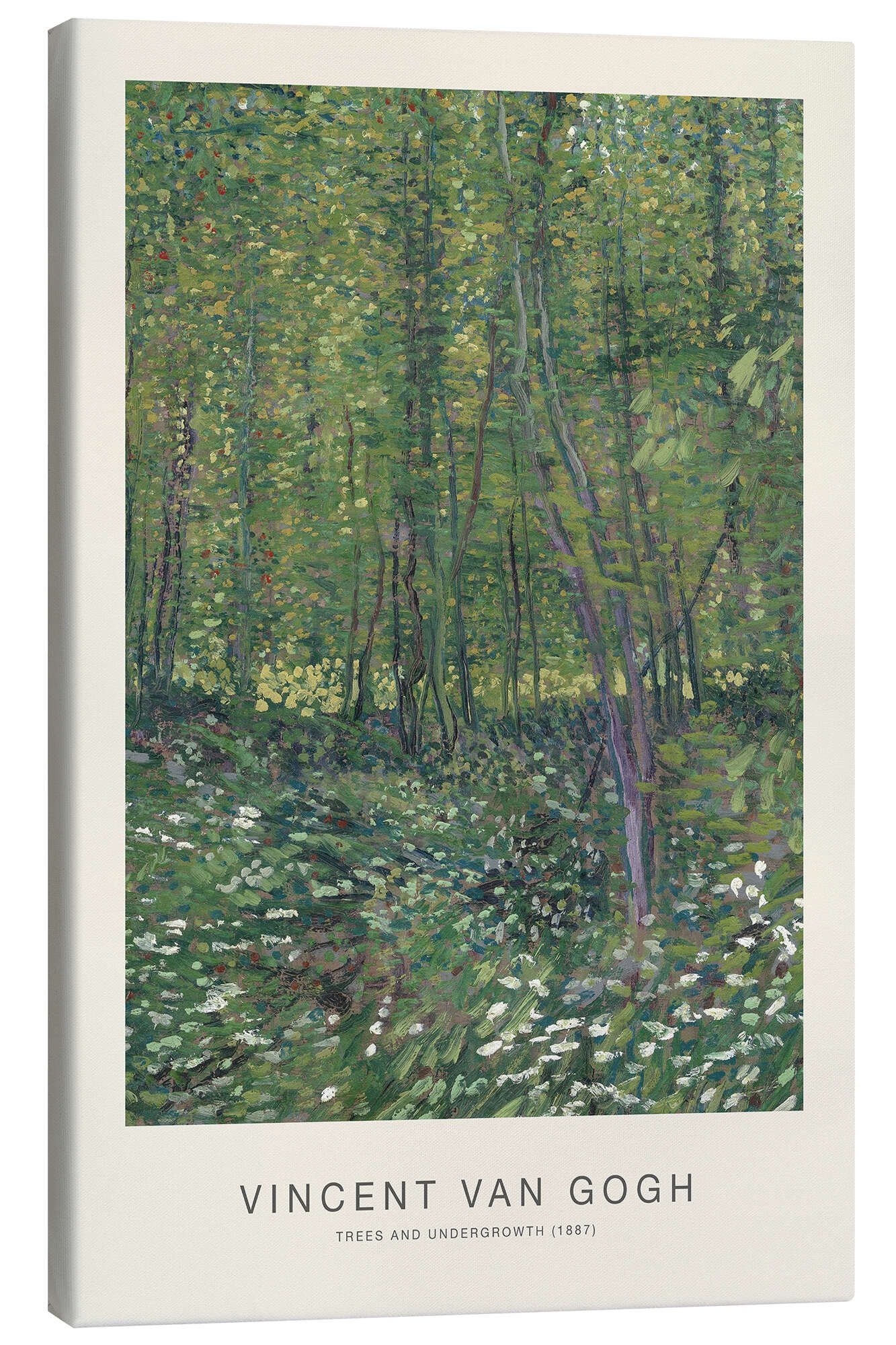 Leinwandbild Vincent van Gogh